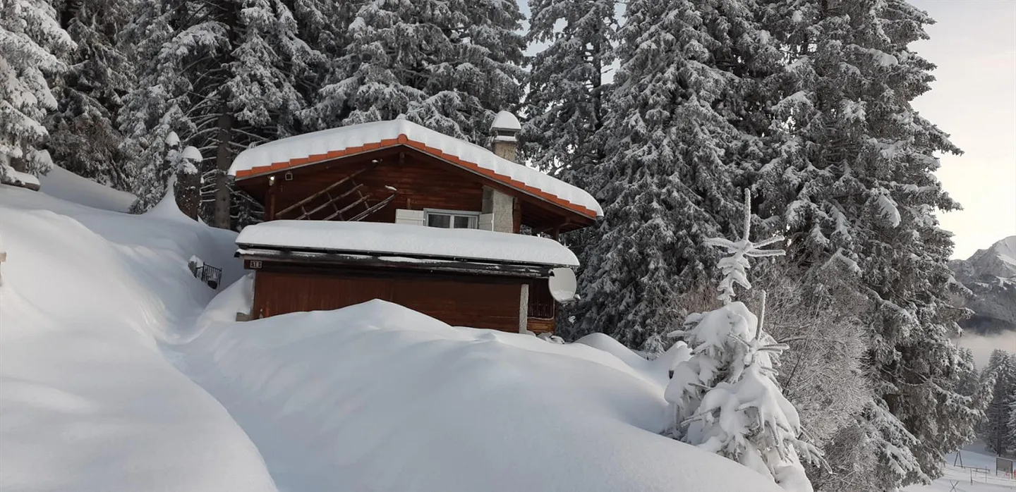 Holiday home in Brambrüesch next to the ski lift - Photo 8 of 8