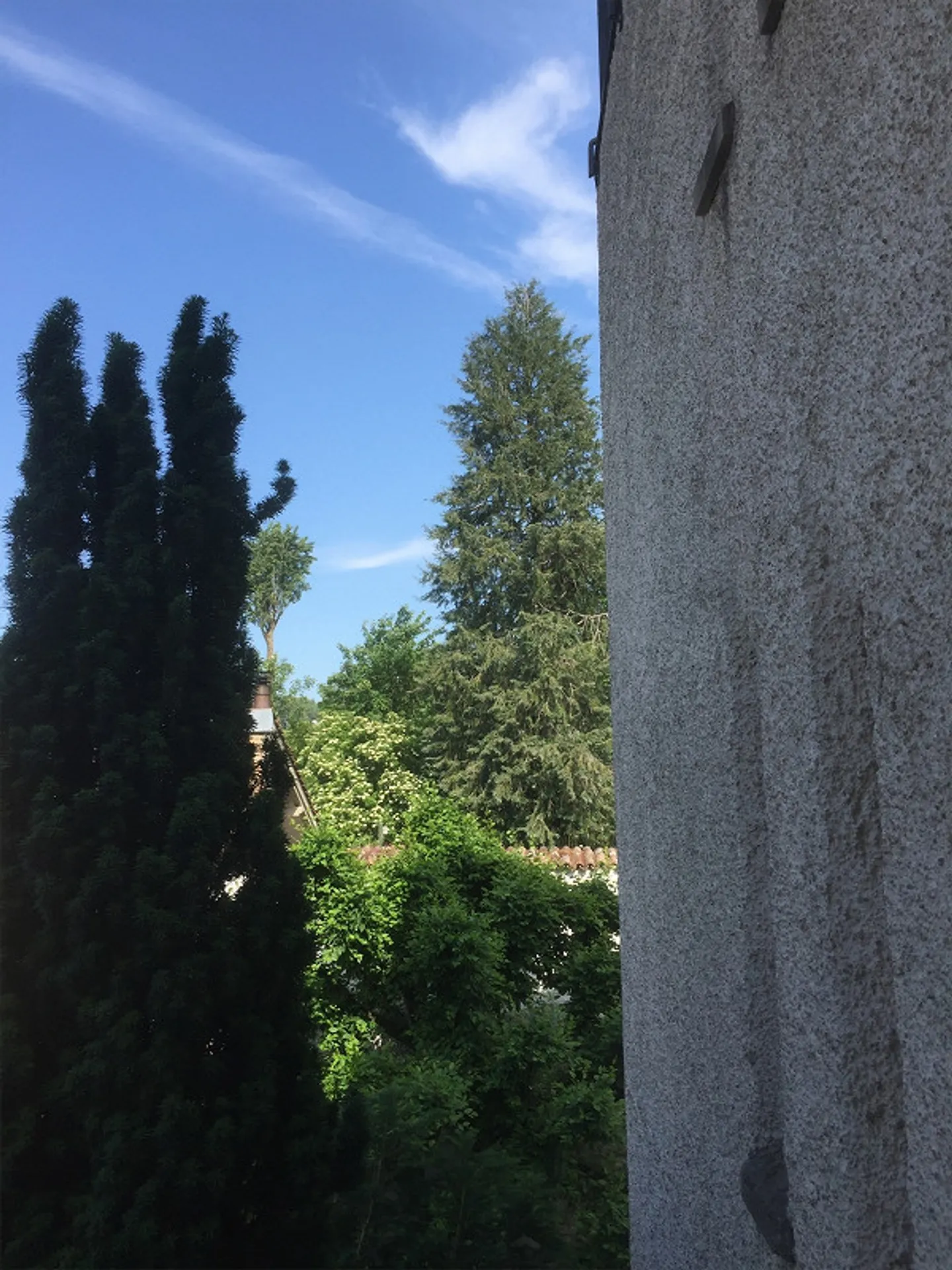 Appartement spacieux avec vue sur la vieille ville de Wil - Photo 11 sur 14