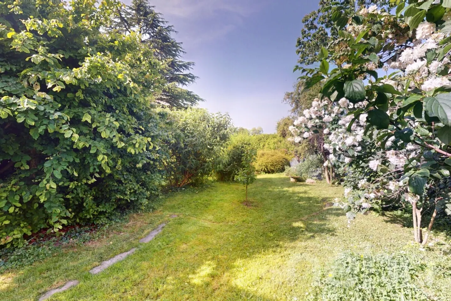 Einfamilienhaus kaufen - Foto 5 von 12