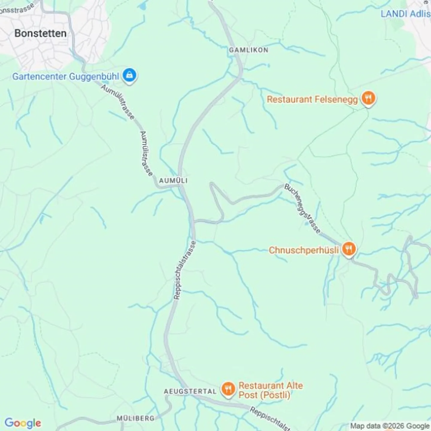 Propriété d'échange Maison individuelle moderne de 5,5 pièces à Stallikon – Nouvelle construction avec architecture exclusive - Photo 1 sur 1