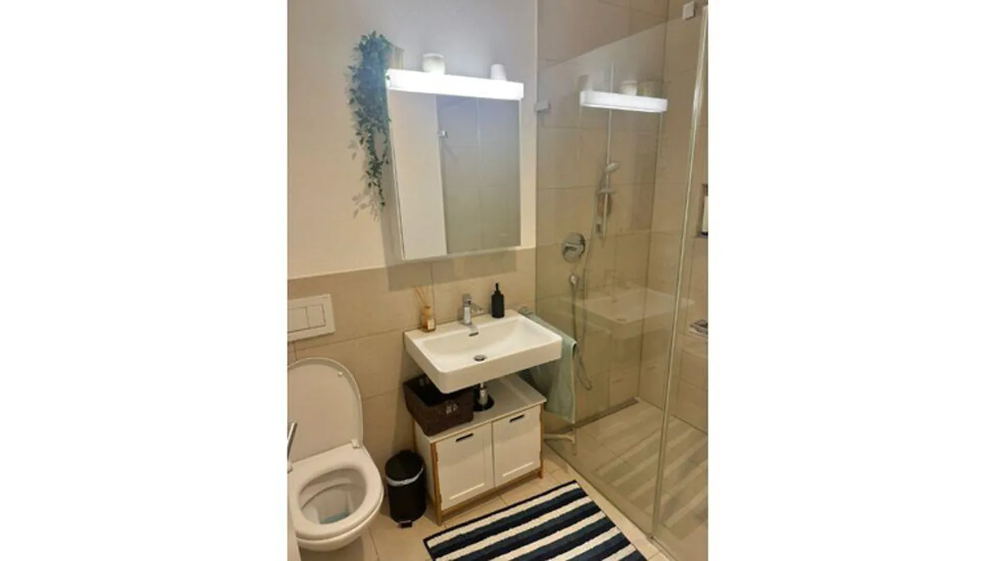 3½ ROOM APARTMENT IN KLOTEN (ZH), FURNISHED, TEMPORARY - Photo 7 of 10