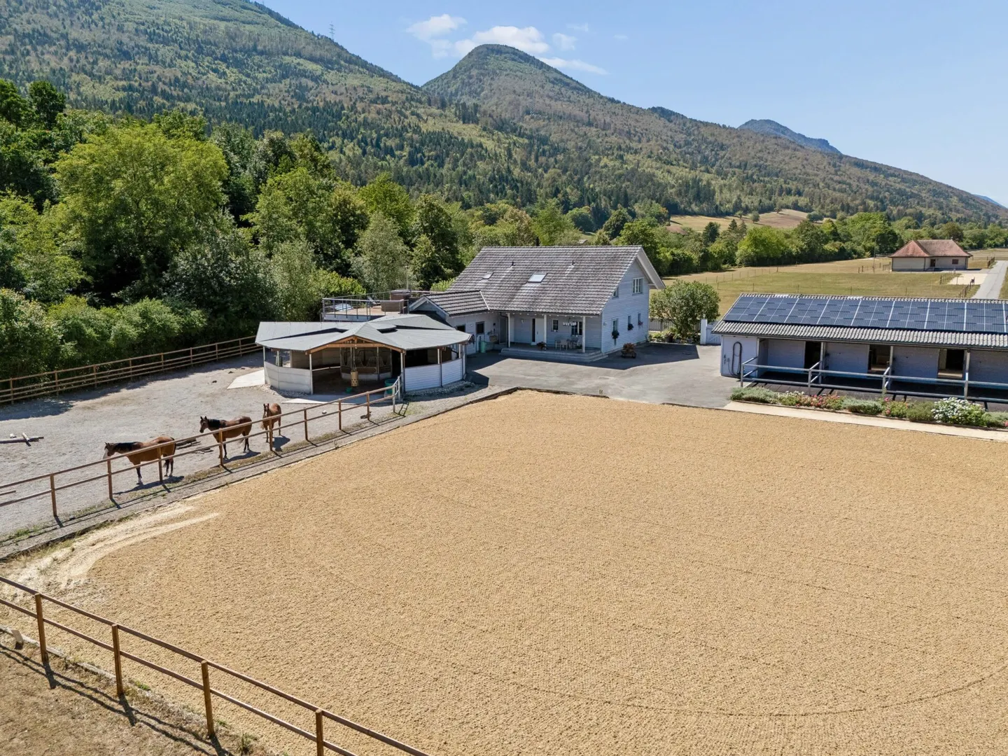 Proprietà equestre con casa di lusso - Foto 1 di 8