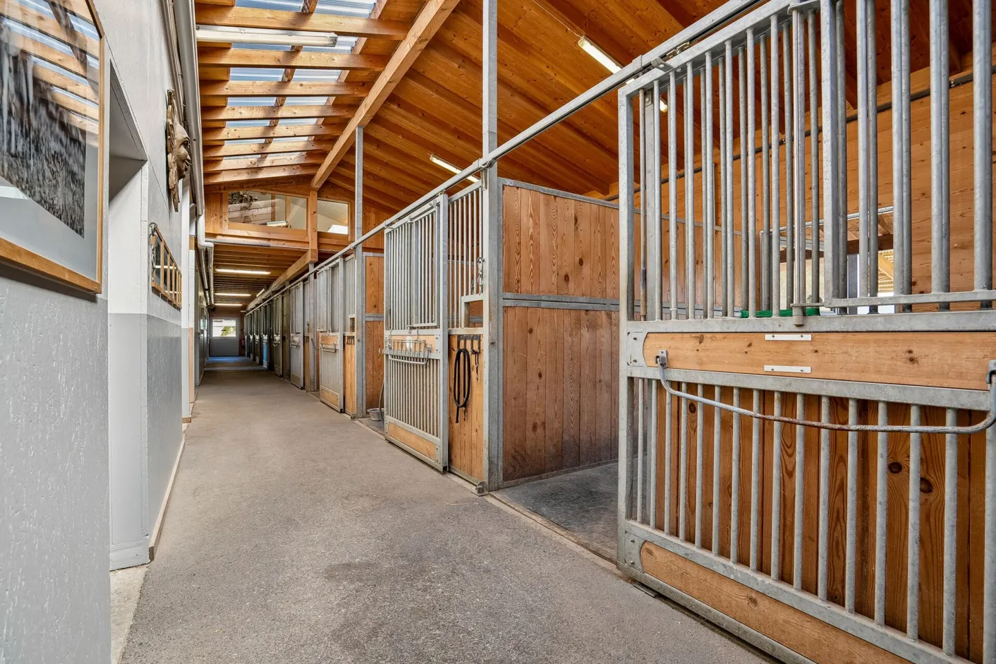 Proprietà equestre con casa di lusso - Foto 5 di 8