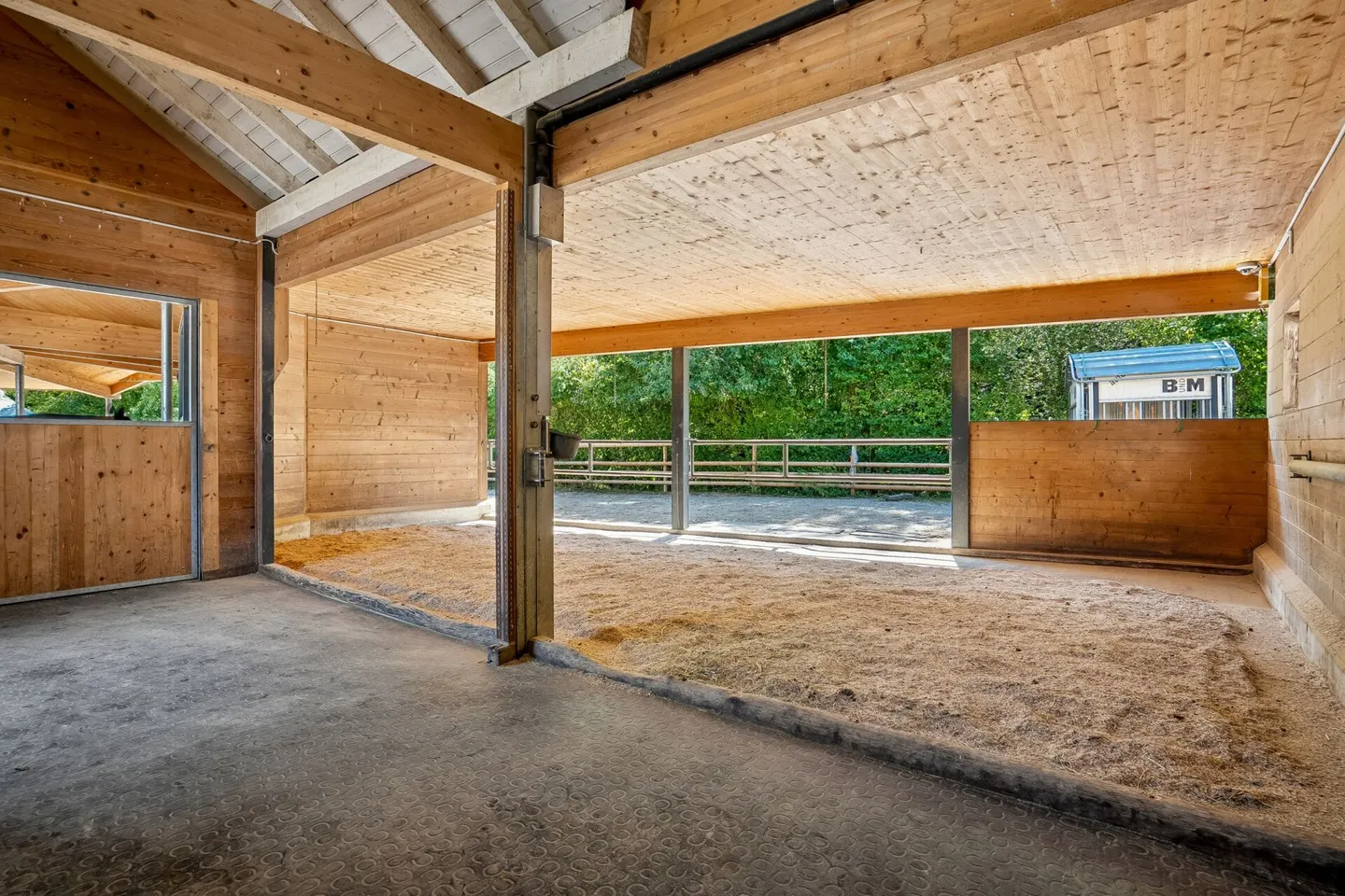 Proprietà equestre con casa di lusso - Foto 7 di 8