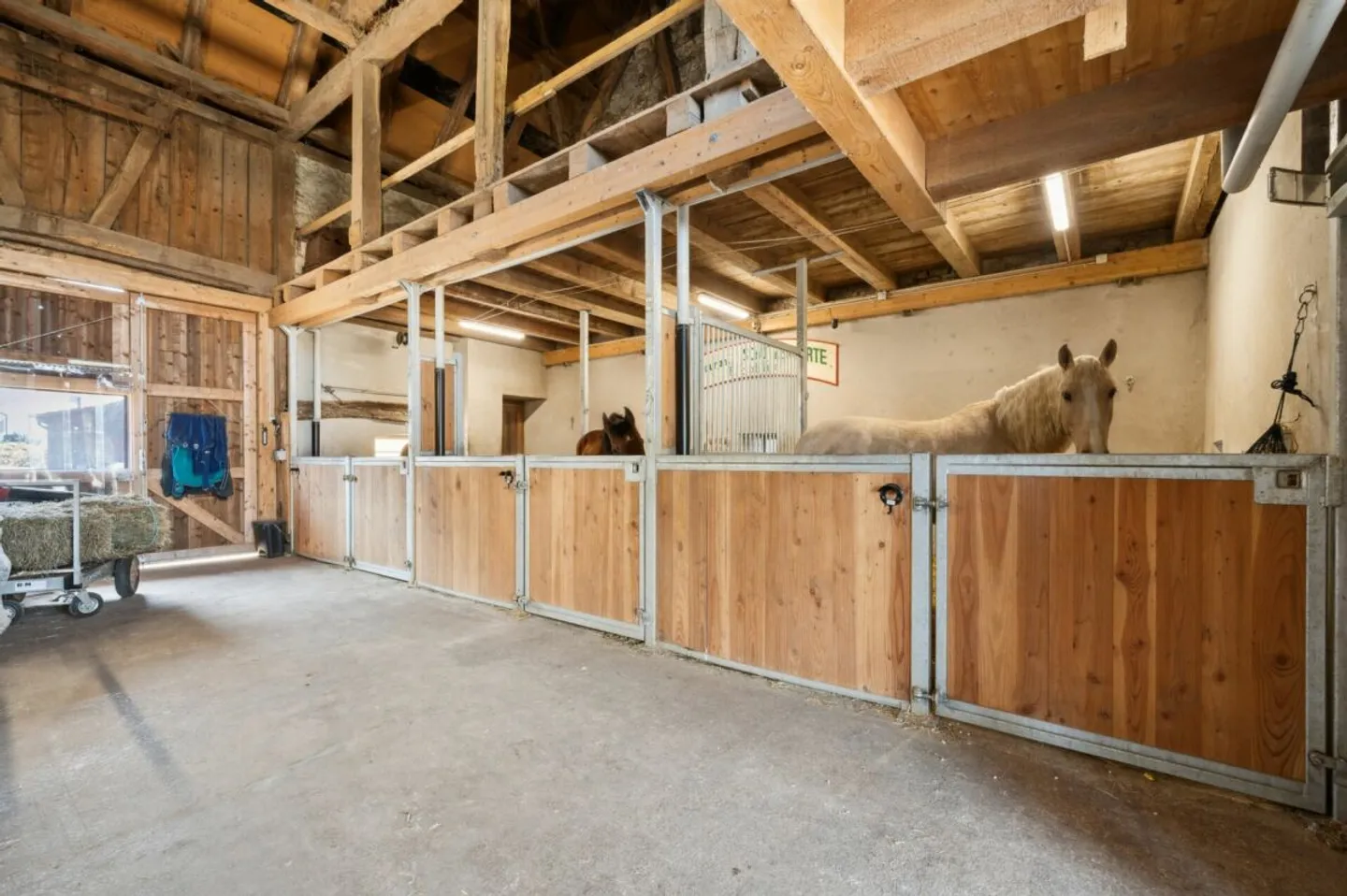 RENOVATED EQUESTRIAN PROPERTY IN IDYLLIC SURROUNDINGS FOR PRIVATE HORSE KEEPING - Photo 5 of 10