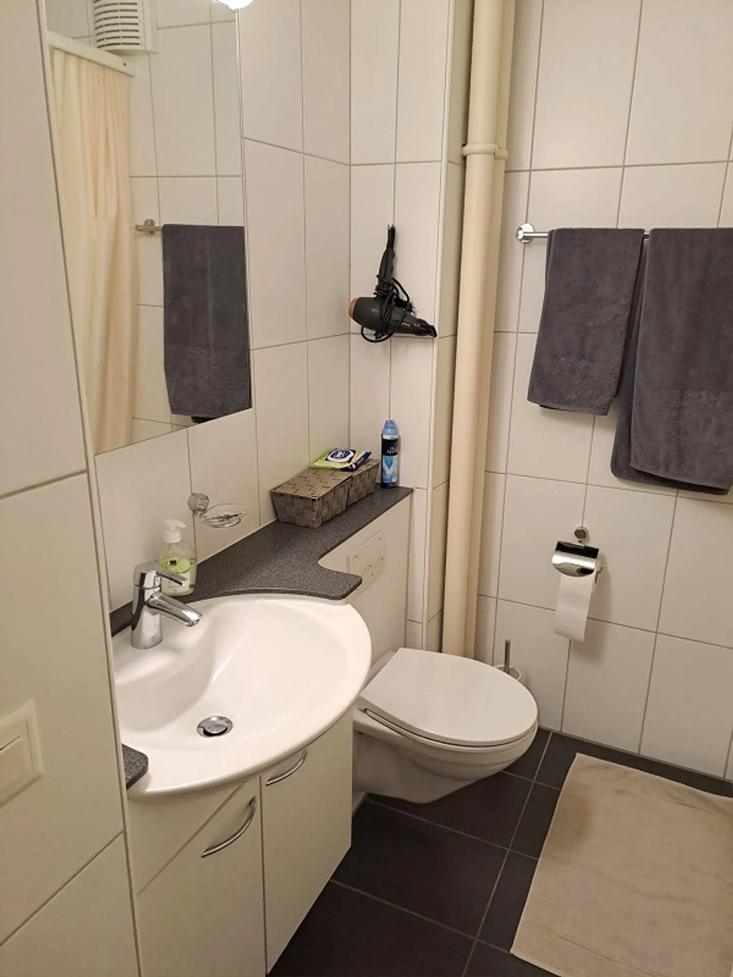 La tua nuova casa nel quartiere Schönbühl - Foto 4 di 5