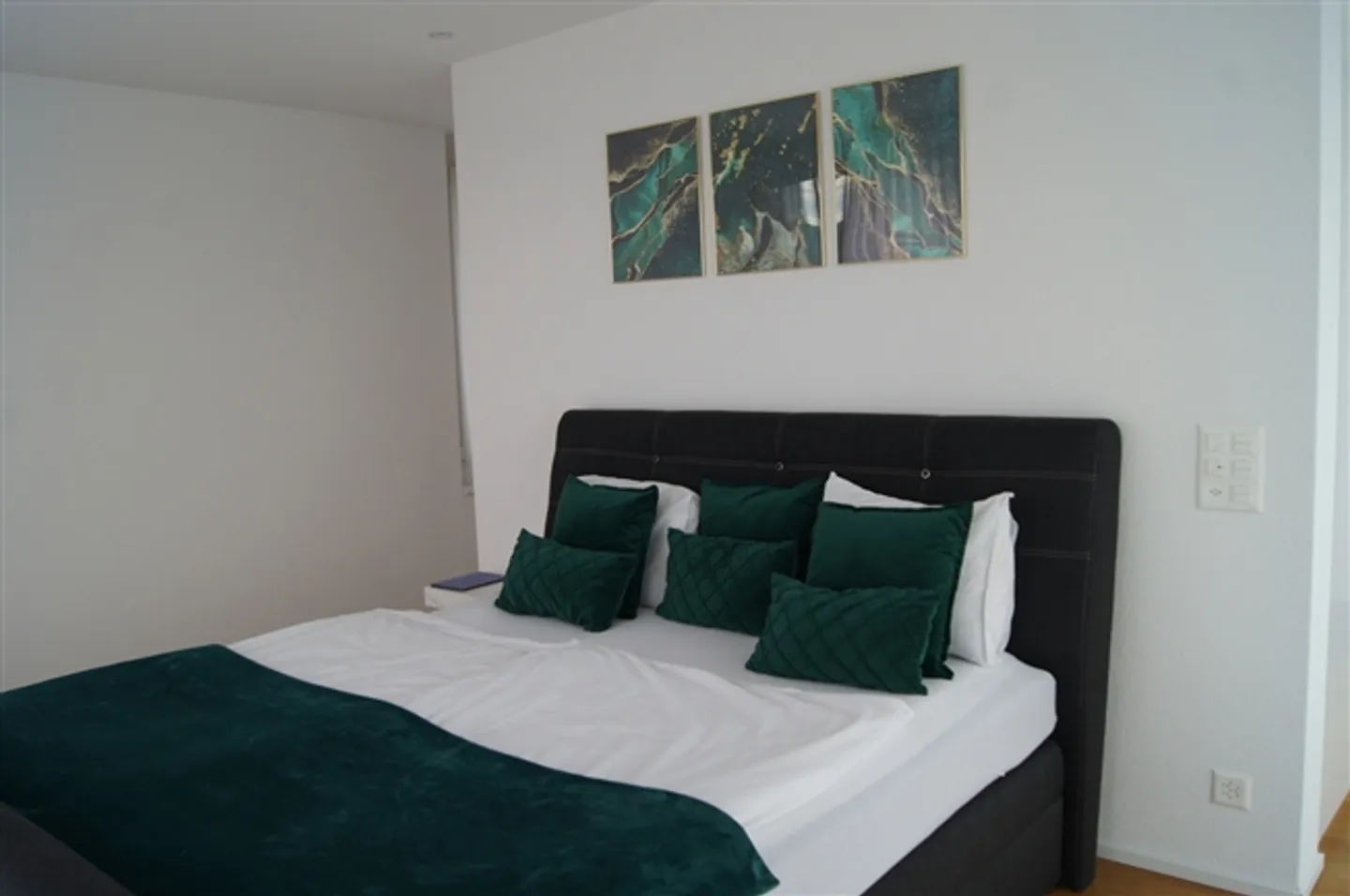 Möbliertes Penthouse in Buchs - Foto 6 von 9