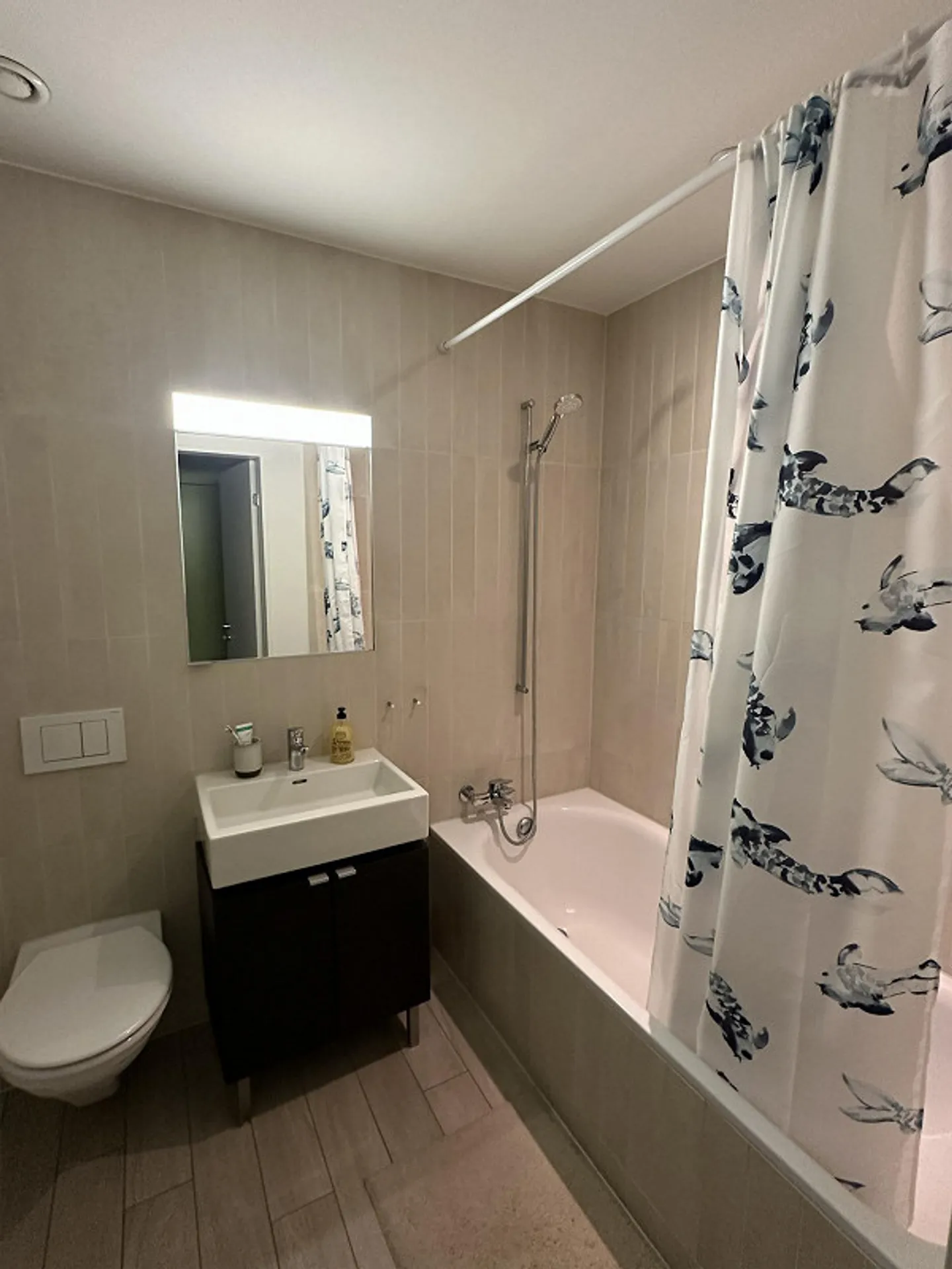 2.5 Room Apartment Area to the Wild Man, 8302 Kloten - Photo 5 of 7