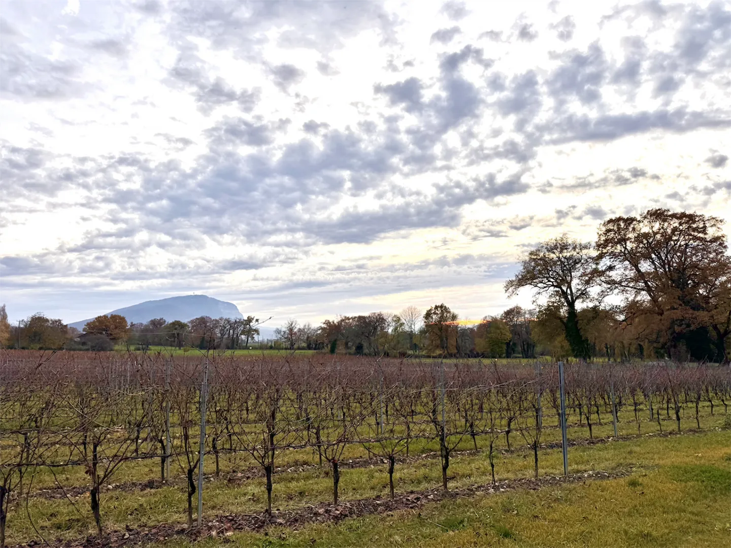 Villa with 10 rooms - Photo 4 of 4