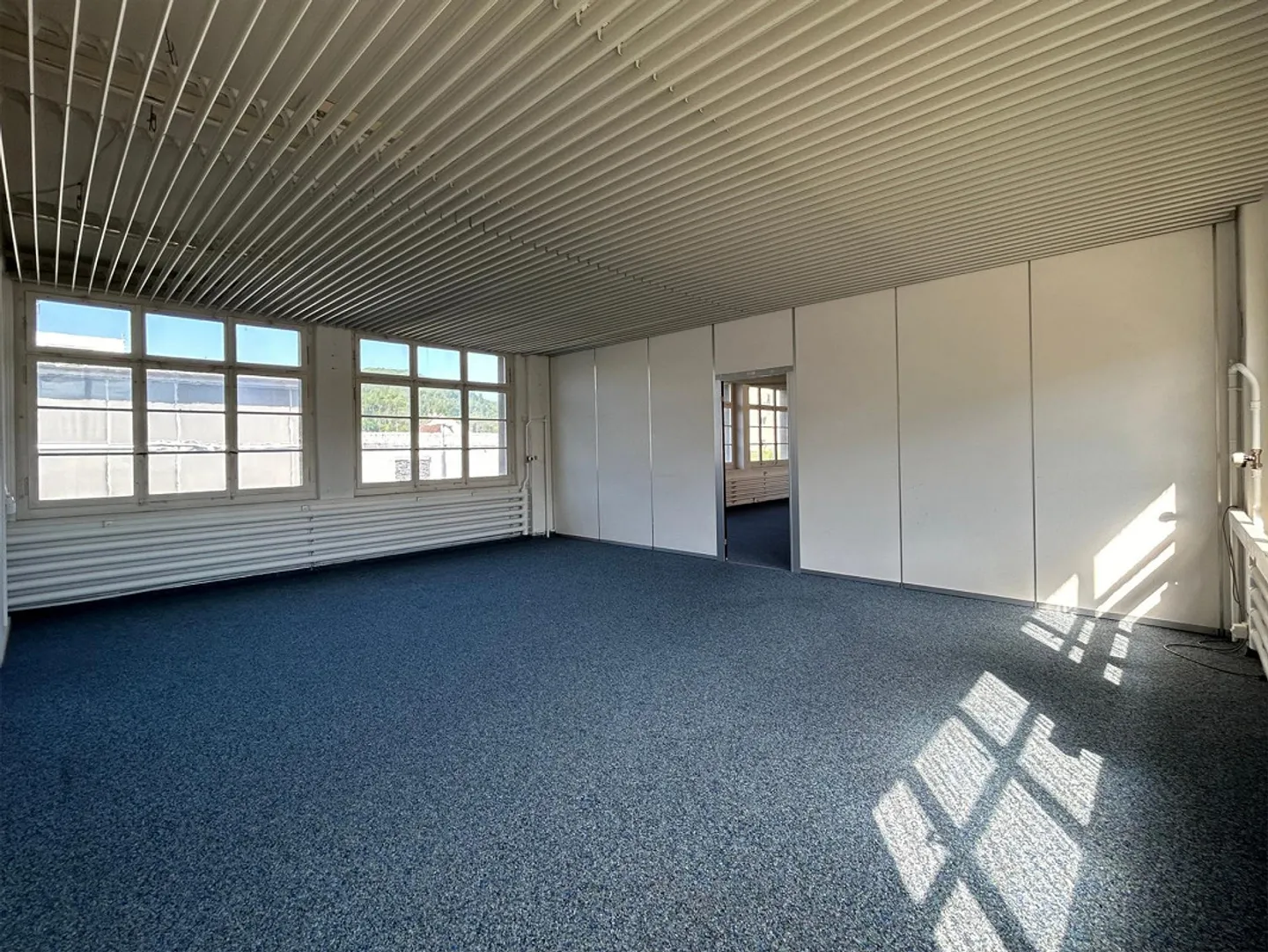Interim Use of Multiple Office Spaces, Also Available for Individual Rental in Bubendorf - Photo 7 of 7