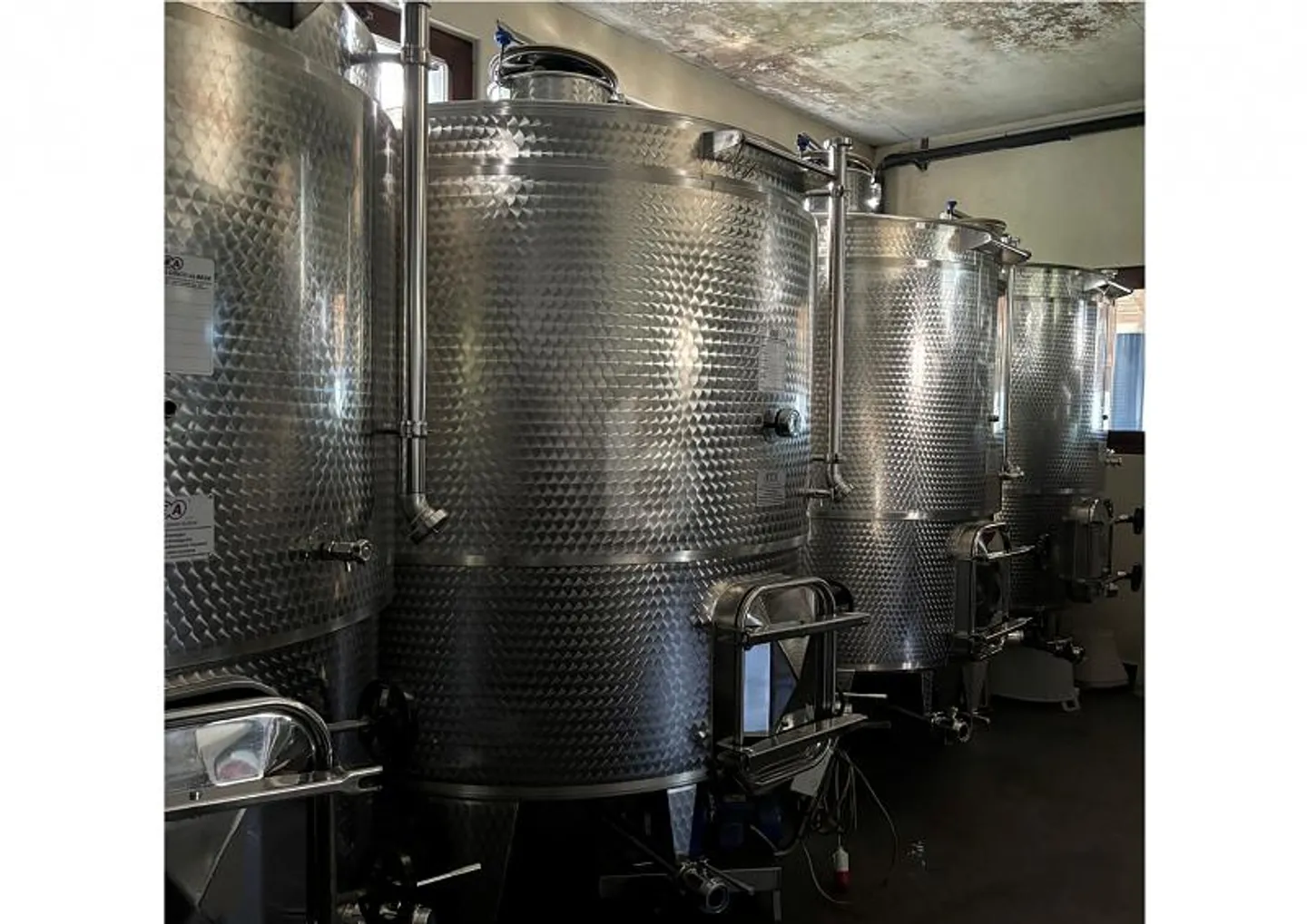 Winery with Vineyards in Sementina - Photo 4 of 6