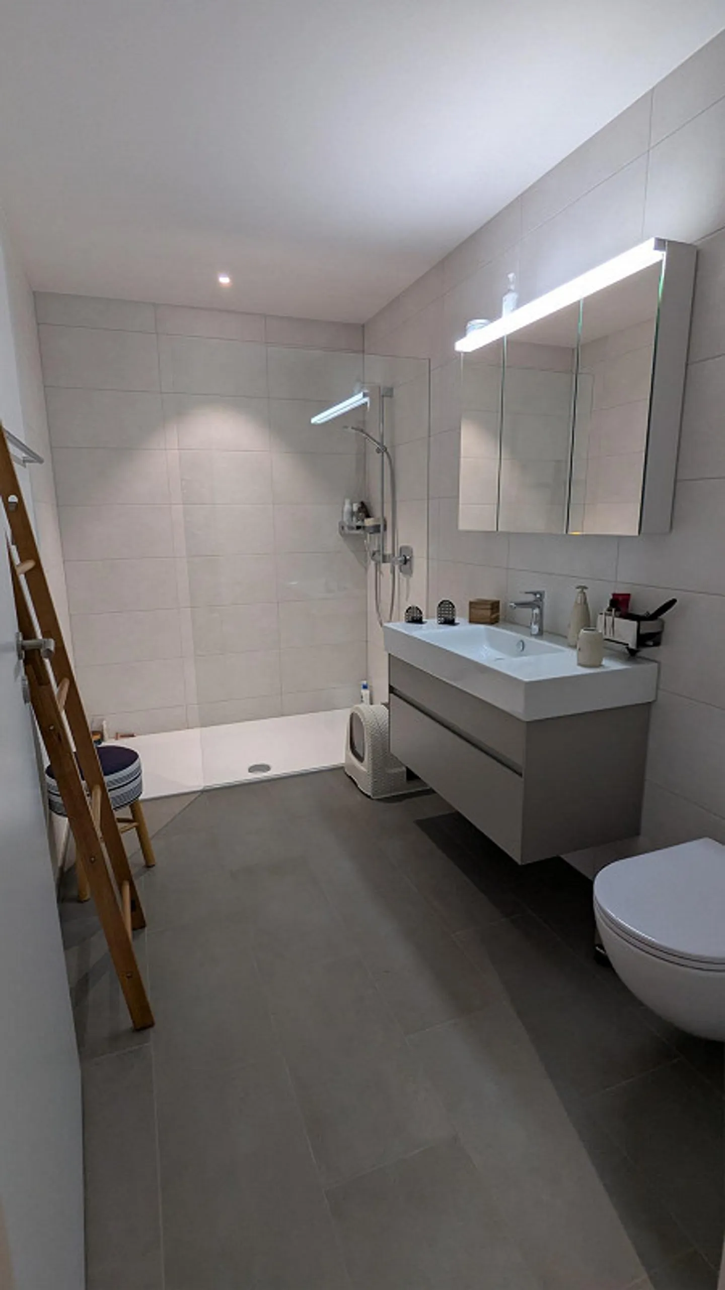 New 4.5 Room Apartment in Modern Grünmatt Quarter - Photo 2 of 8