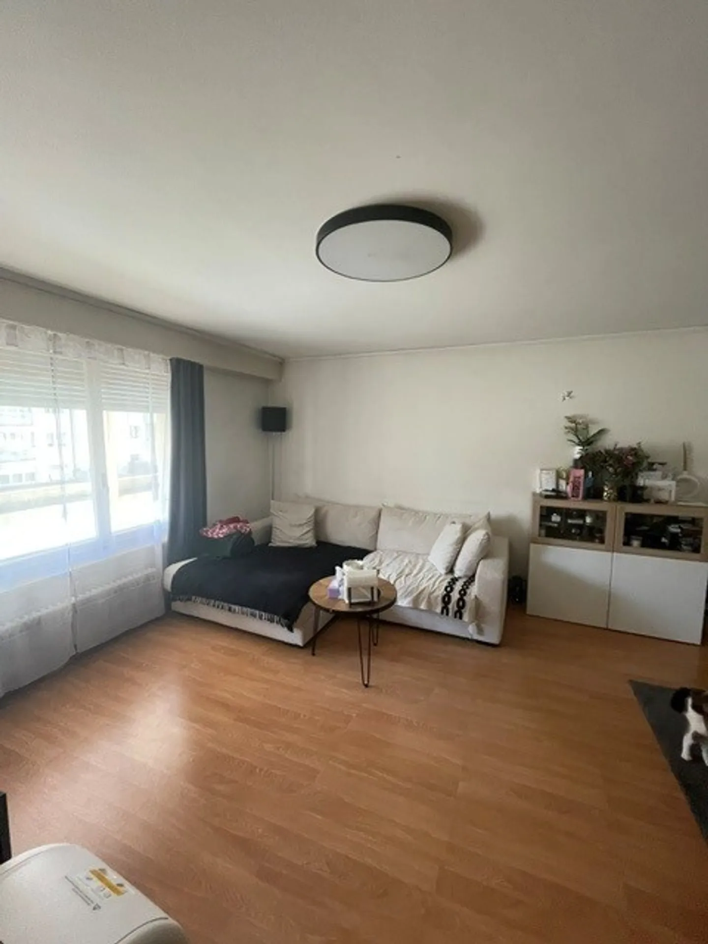 3,5-Zimmer-Wohnung - Foto 2 von 8