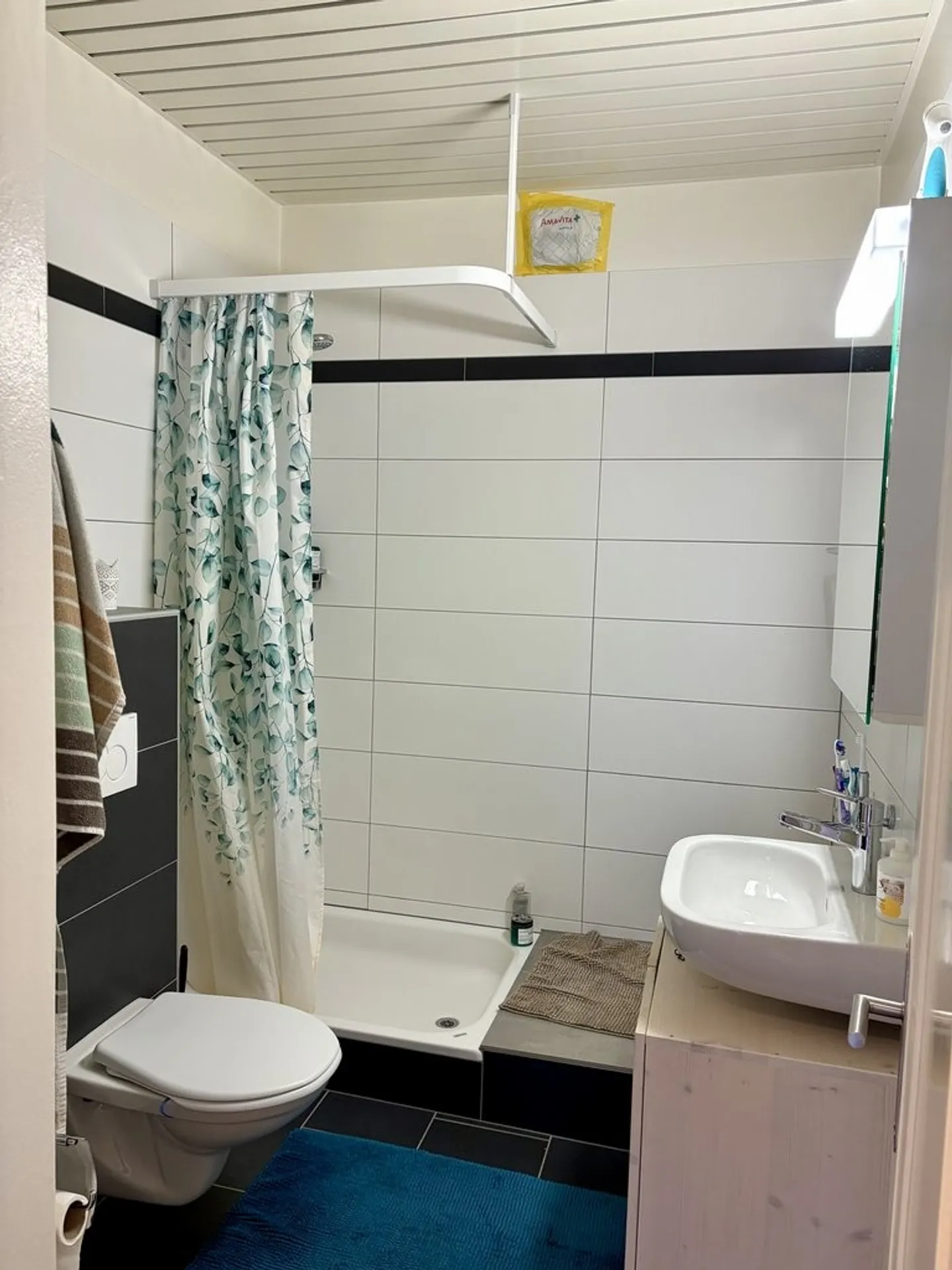 Renovated 2-Room Apartment - Photo 5 of 7