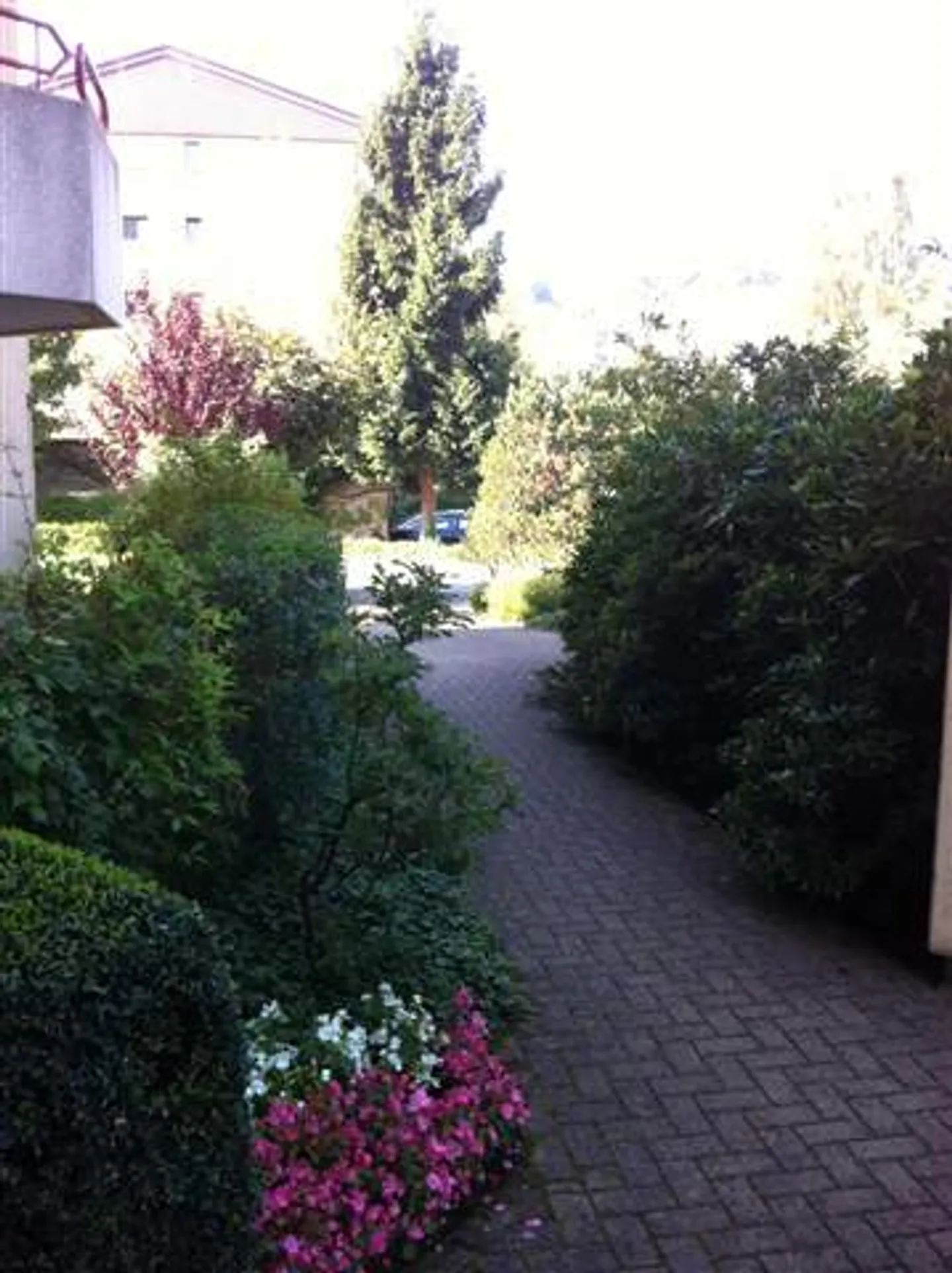 Geräumige 3.5-Zimmer-Wohnung - Foto 22 von 22