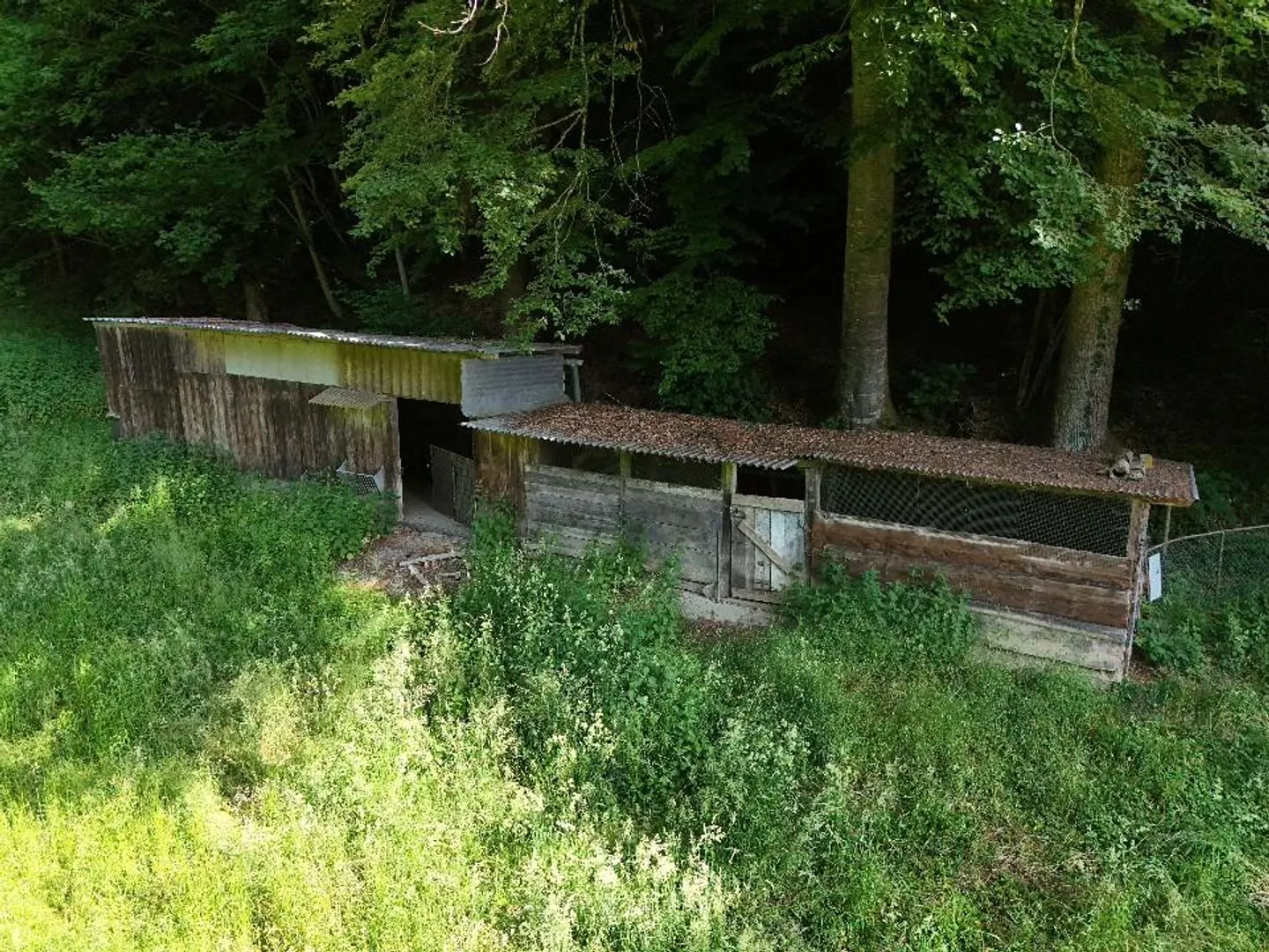 Nachhaltiges Land für Kreative Projekte - Foto 2 von 3