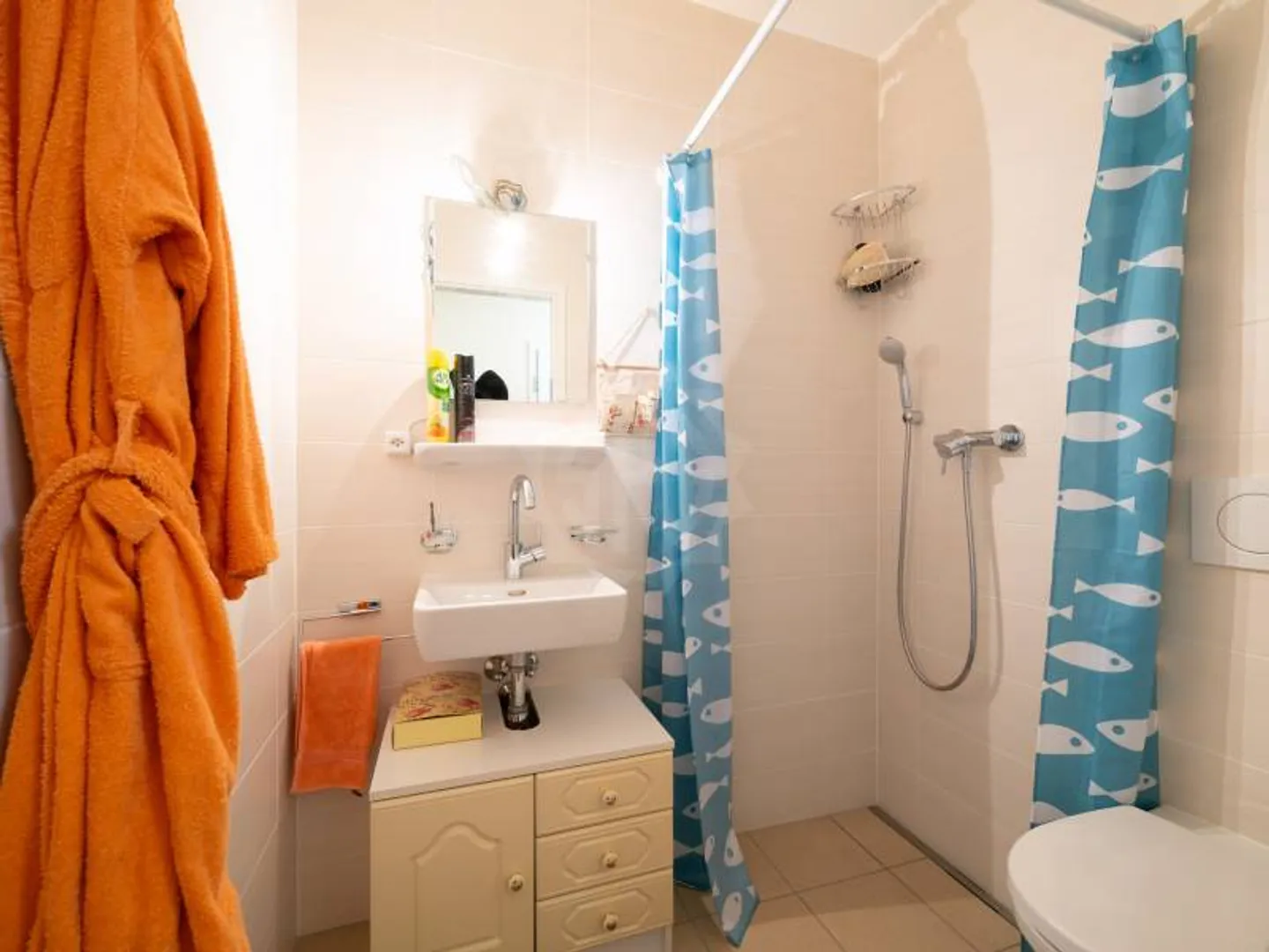 Appartamento Incantevole con Terrazza - Foto 6 di 6