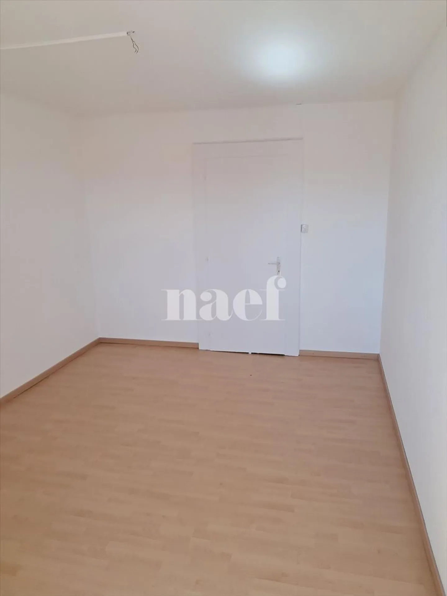 4-Zimmer-Wohnung - Foto 5 von 12