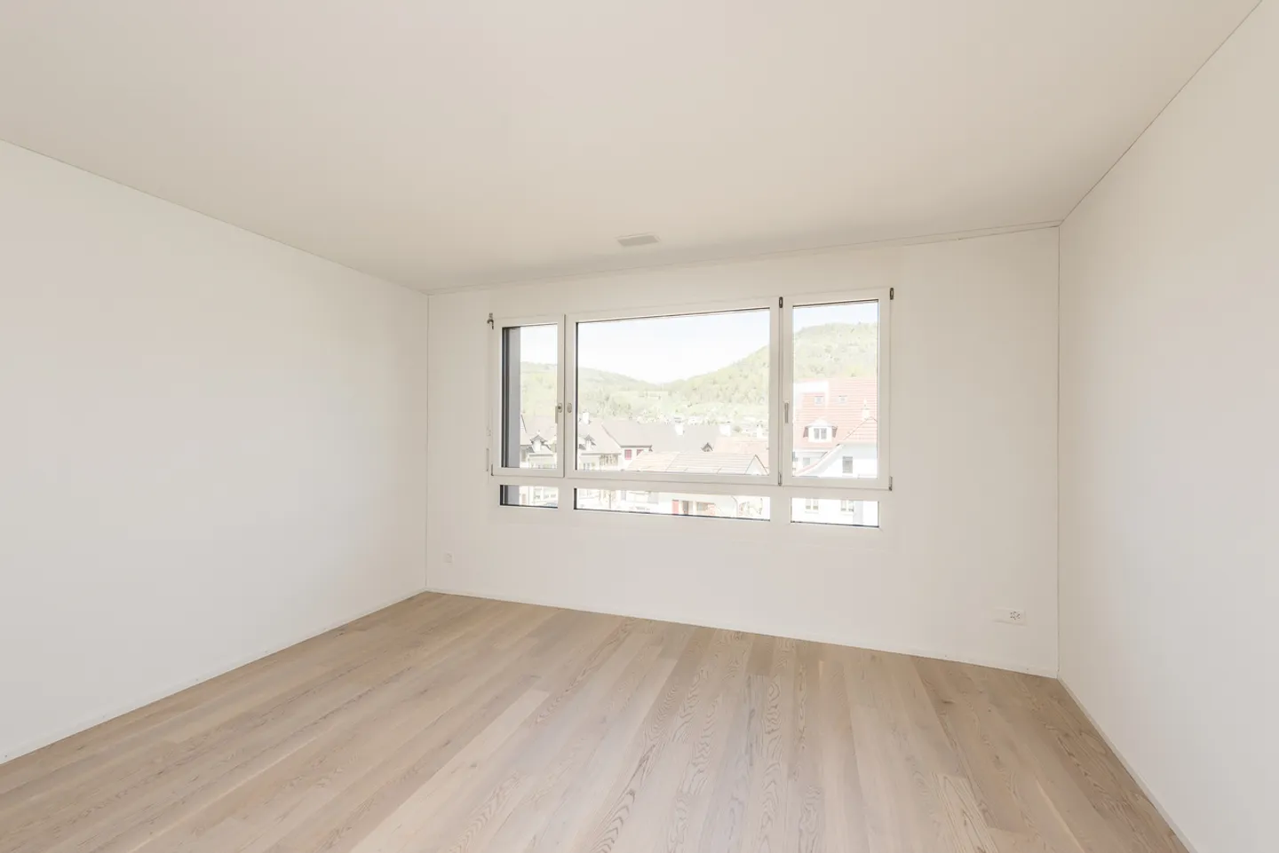 Modern Garden Apartment in Lausen - Photo 4 of 5