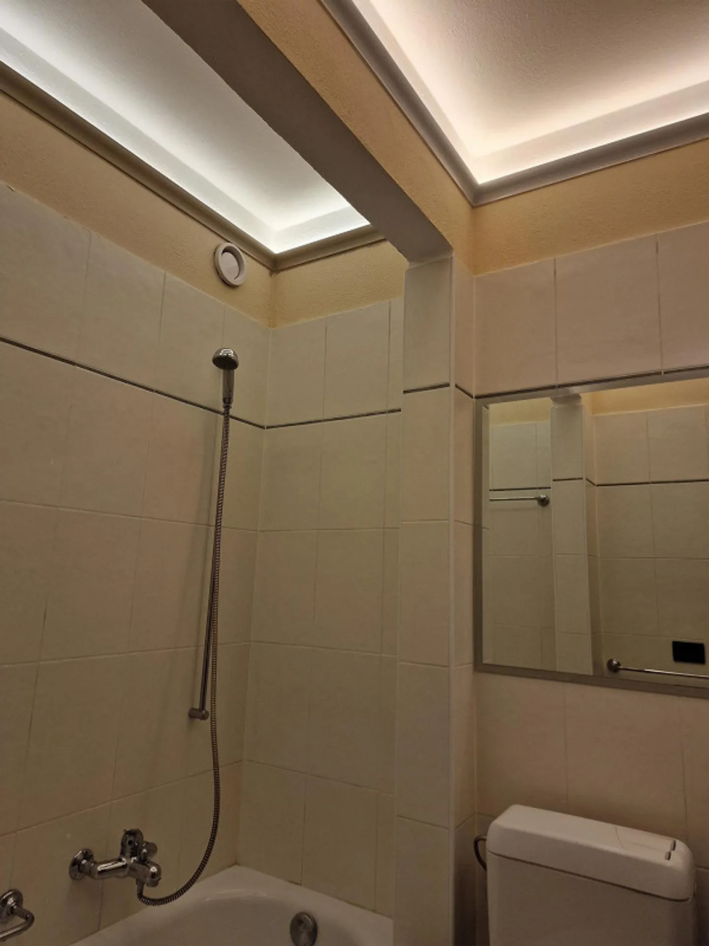 Attic Dream in Paradiso: New 3.5-Room Apartment with Panoramic View - Photo 20 of 30