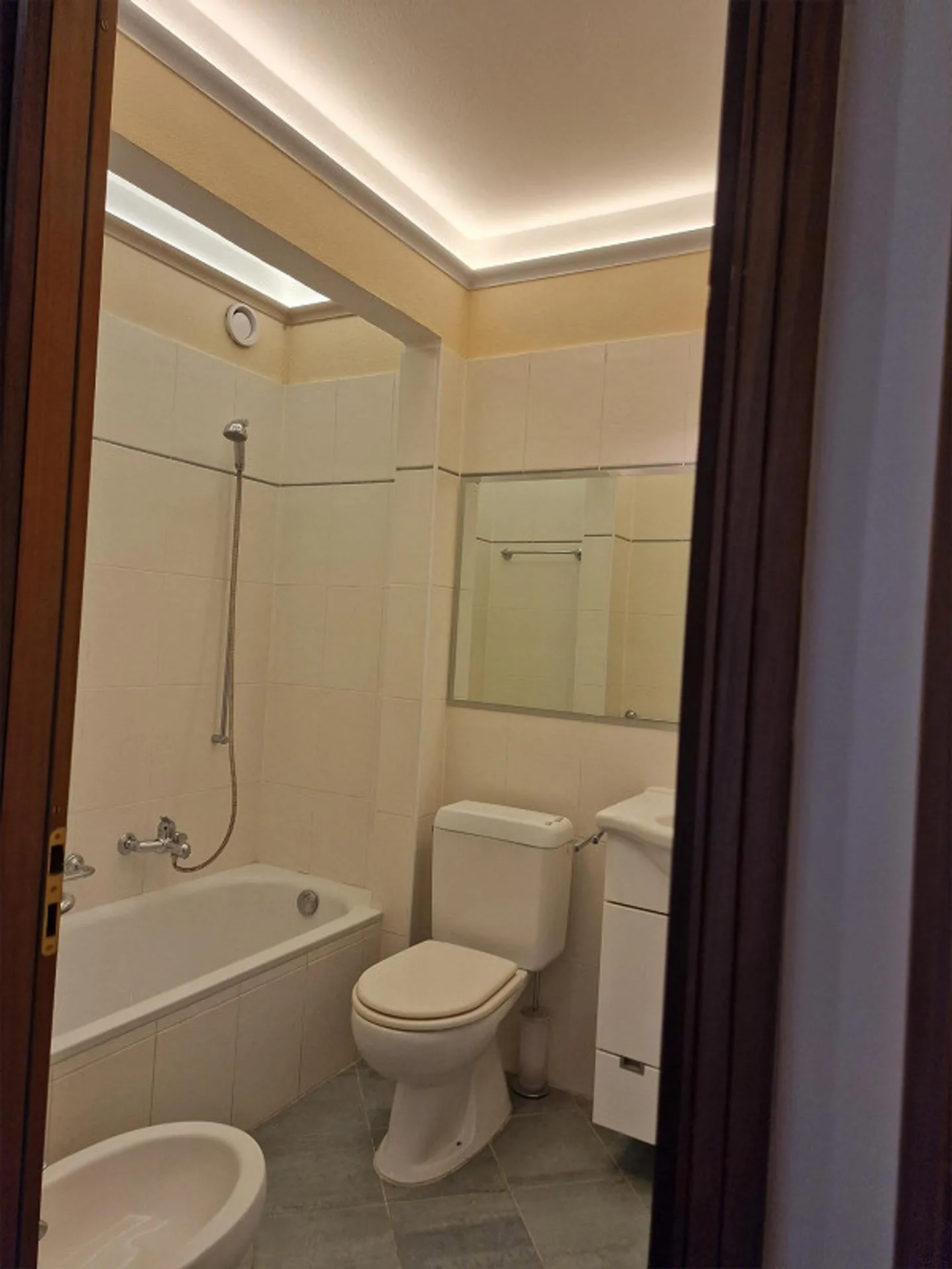 Attic Dream in Paradiso: New 3.5-Room Apartment with Panoramic View - Photo 22 of 30