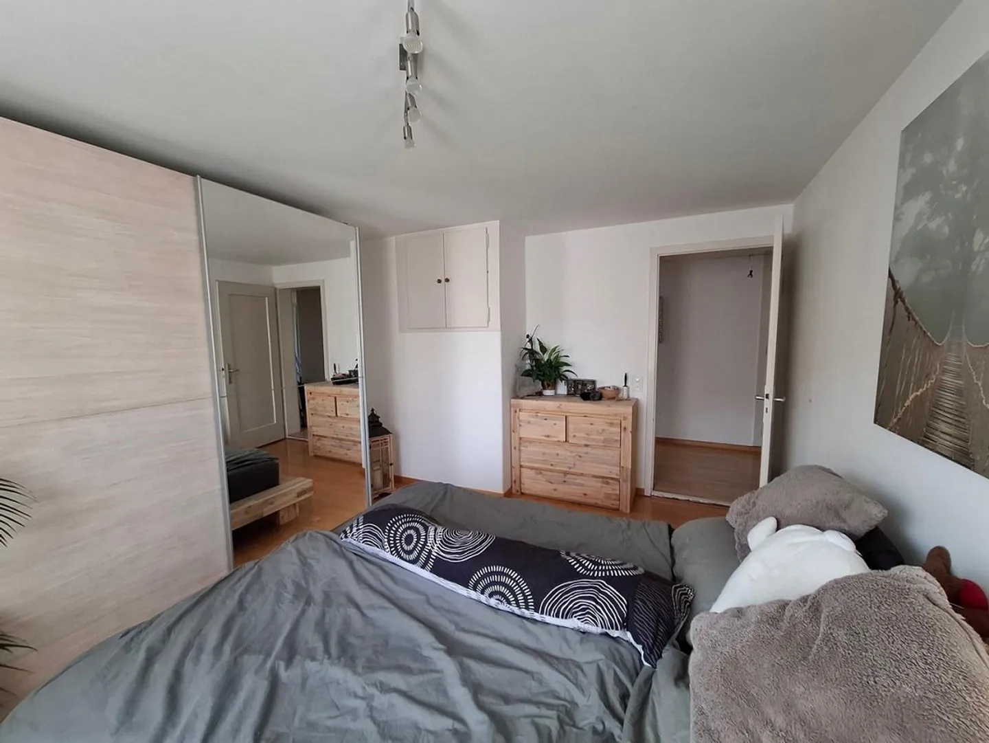 Geräumige Wohnung - Foto 8 von 12