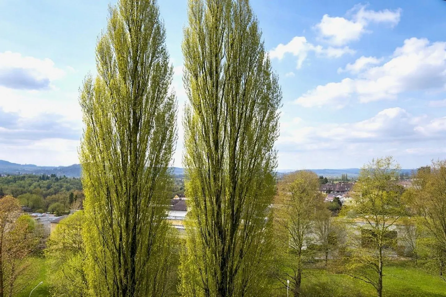 Accogliente appartamento di 3,5 stanze con vista panoramica a Wabern - Foto 10 di 17