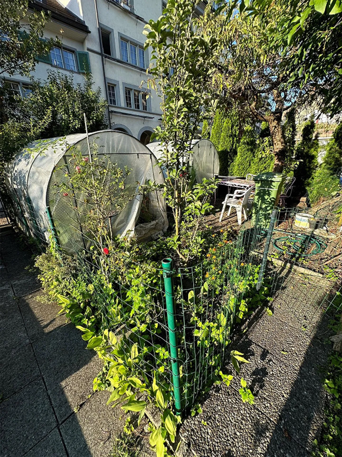Charmante Stadtwohnung - Foto 4 von 5