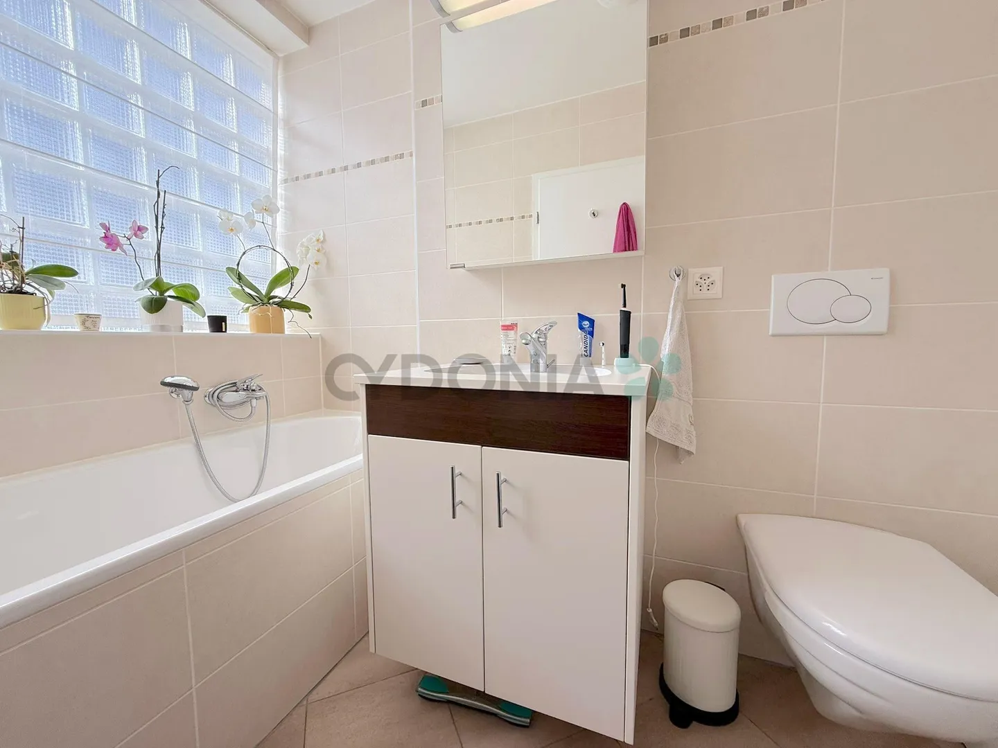 Attique à vendre - Photo 8 sur 9