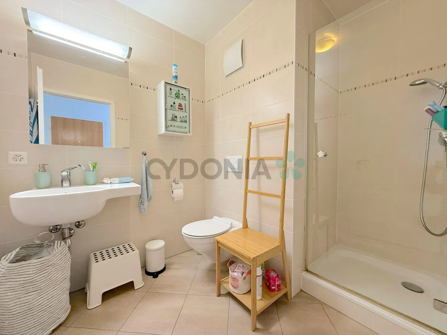 Attique à vendre - Photo 9 sur 9