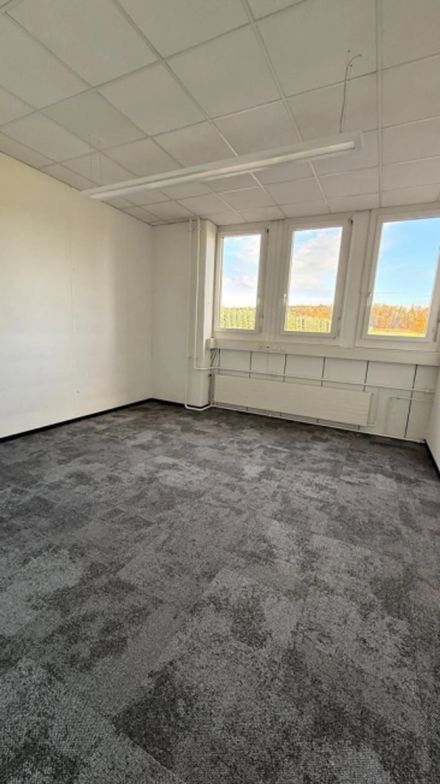 «Moderne ausgebaute Büroräume» - Foto 4 von 7