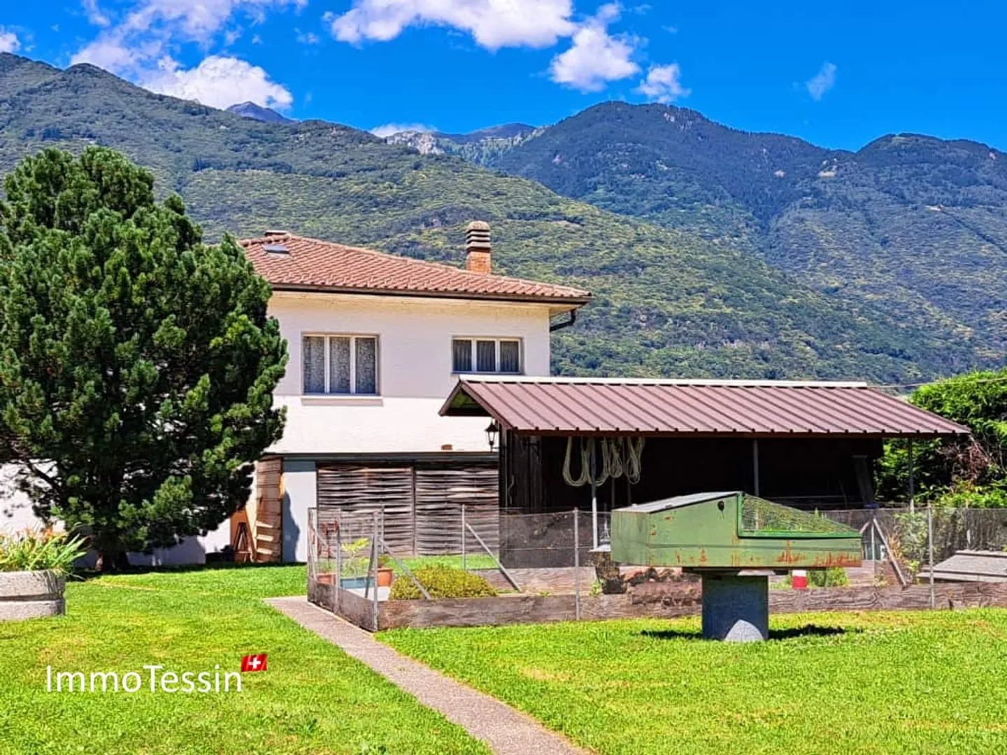 Villa with vineyard and huge 2200 m2 plot in Giubiasco - Photo 2 of 13