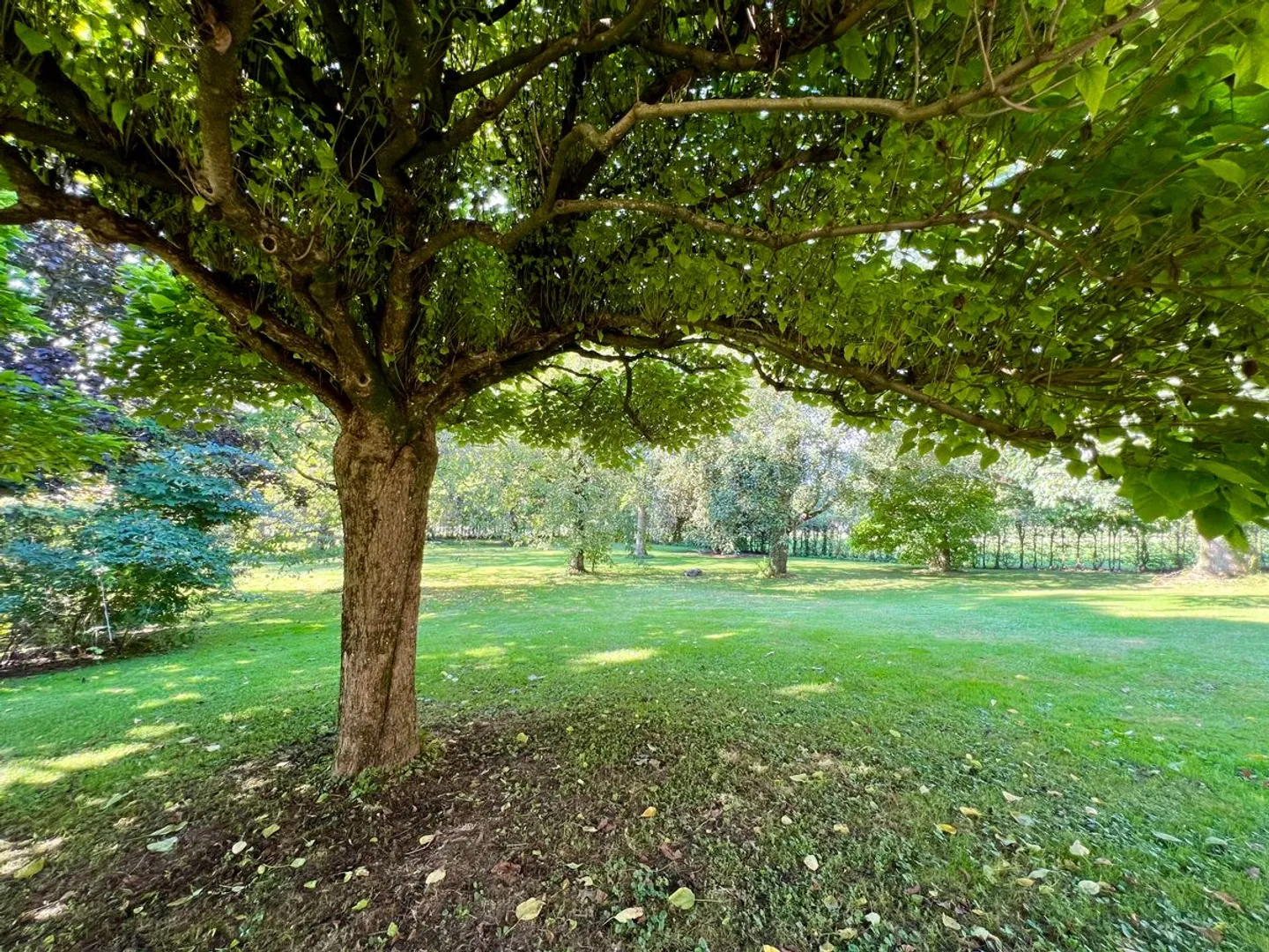 Großes Dorfhaus voller Charme für eine oder zwei Familien, außergewöhnlicher Garten! - Foto 8 von 11
