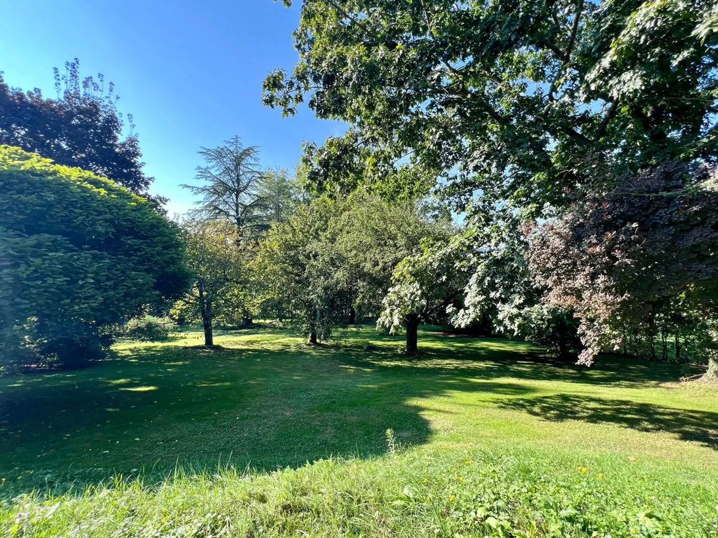 Großes Dorfhaus voller Charme für eine oder zwei Familien, außergewöhnlicher Garten! - Foto 9 von 11