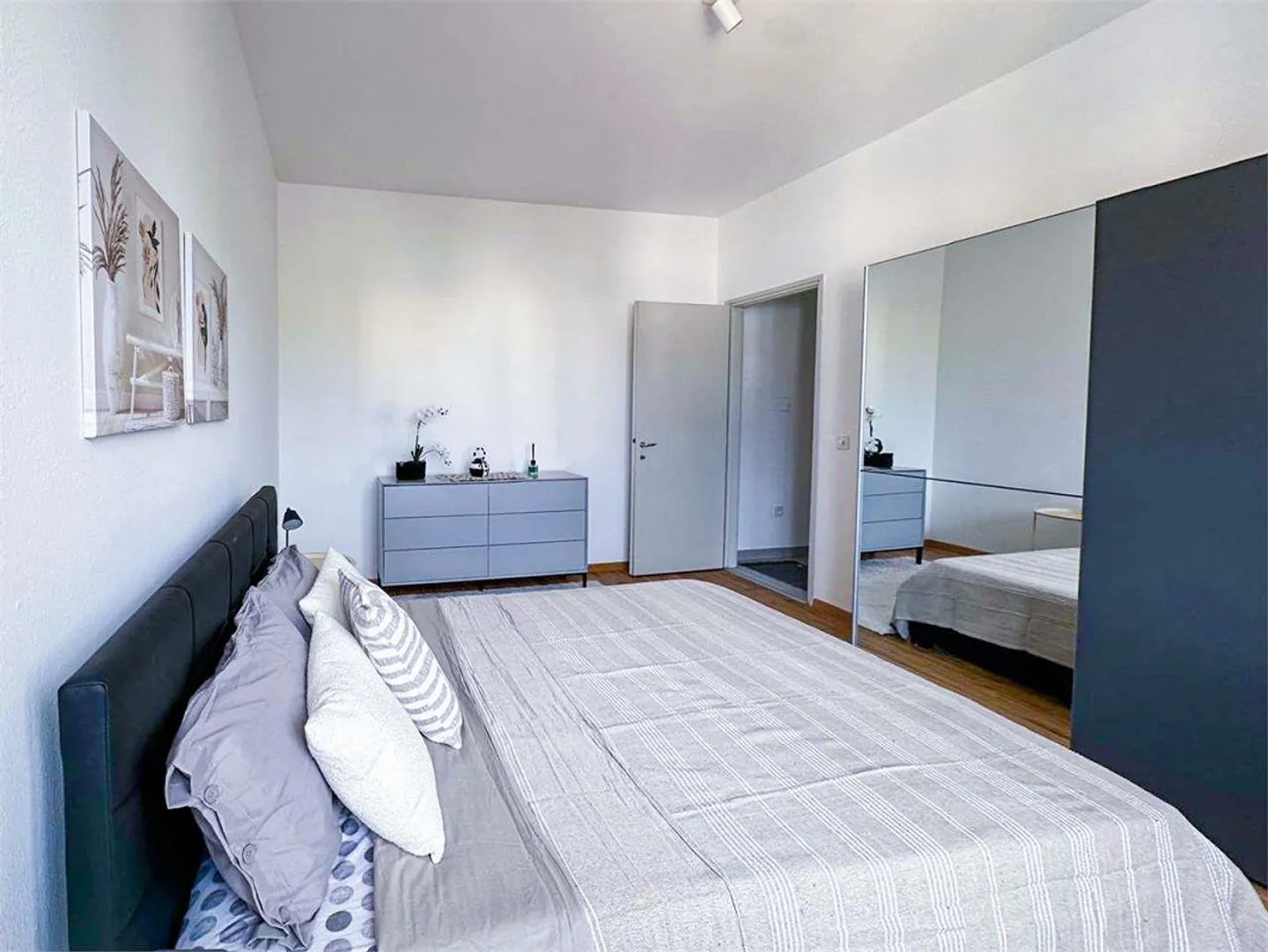 Chiasso, ottimo 2,5 ARREDATO con balcone - Foto 5 di 6