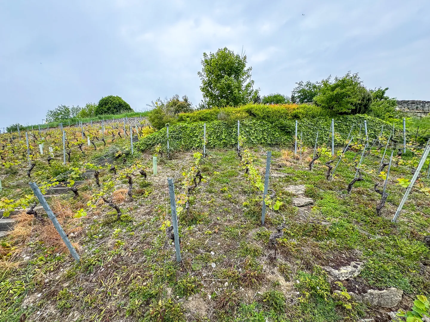 Semi-detached house with 5.5 rooms, garage, 2 terraces and vineyards - Photo 25 of 29