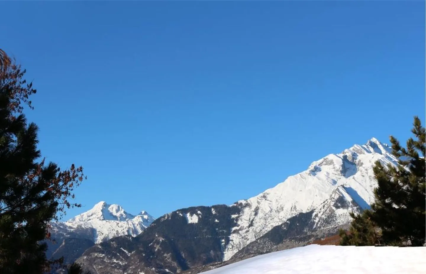 Apartment - Photo 12 of 15