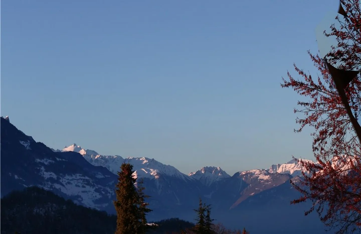 Apartment - Photo 13 of 15