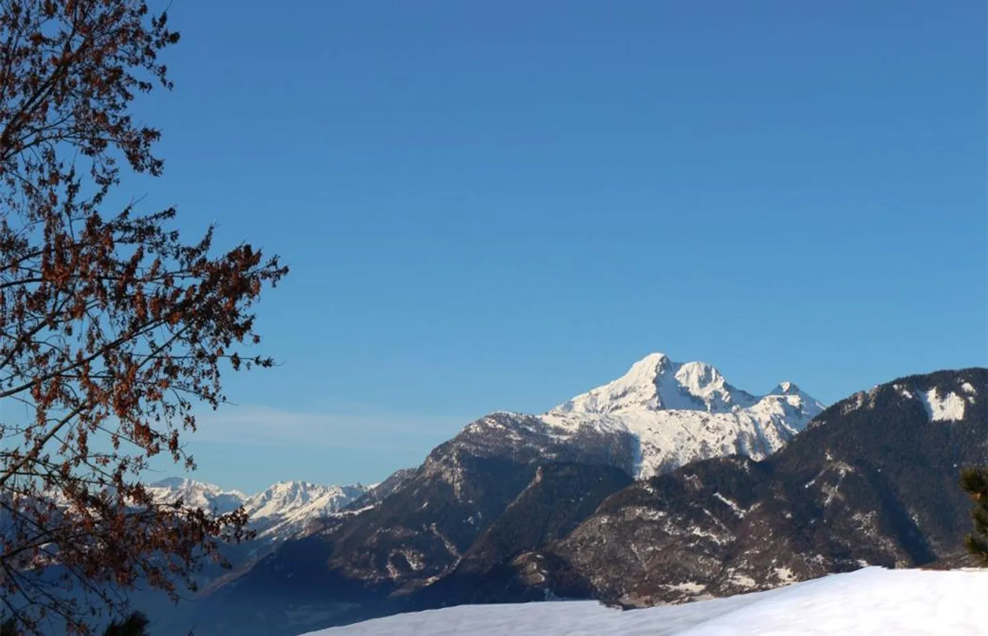 Apartment - Photo 14 of 15