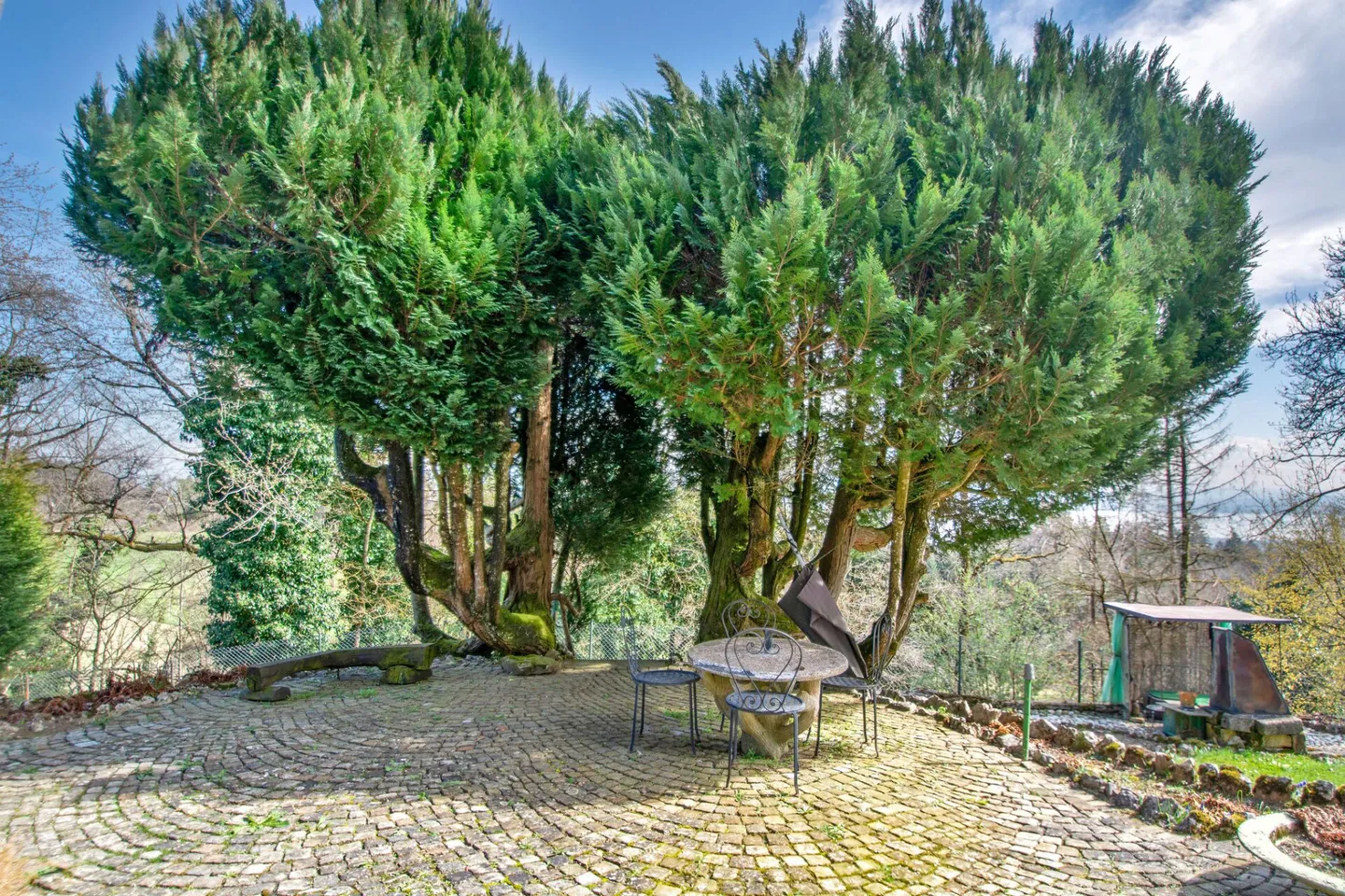 Montmollin, proprietà affascinante con vista sul lago e annessi - Foto 15 di 20