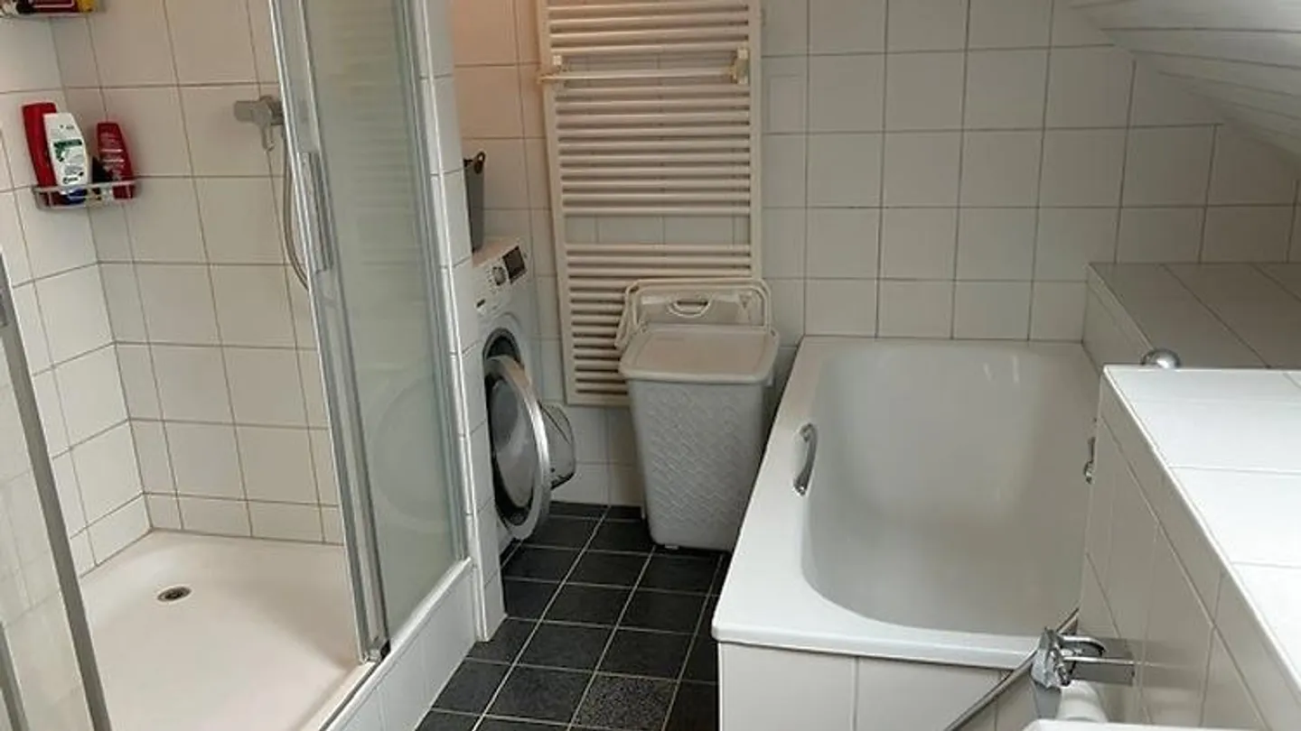 2½ ROOM ATTIC APARTMENT IN DIELSDORF (ZH), FURNISHED, TEMPORARY - Photo 7 of 10