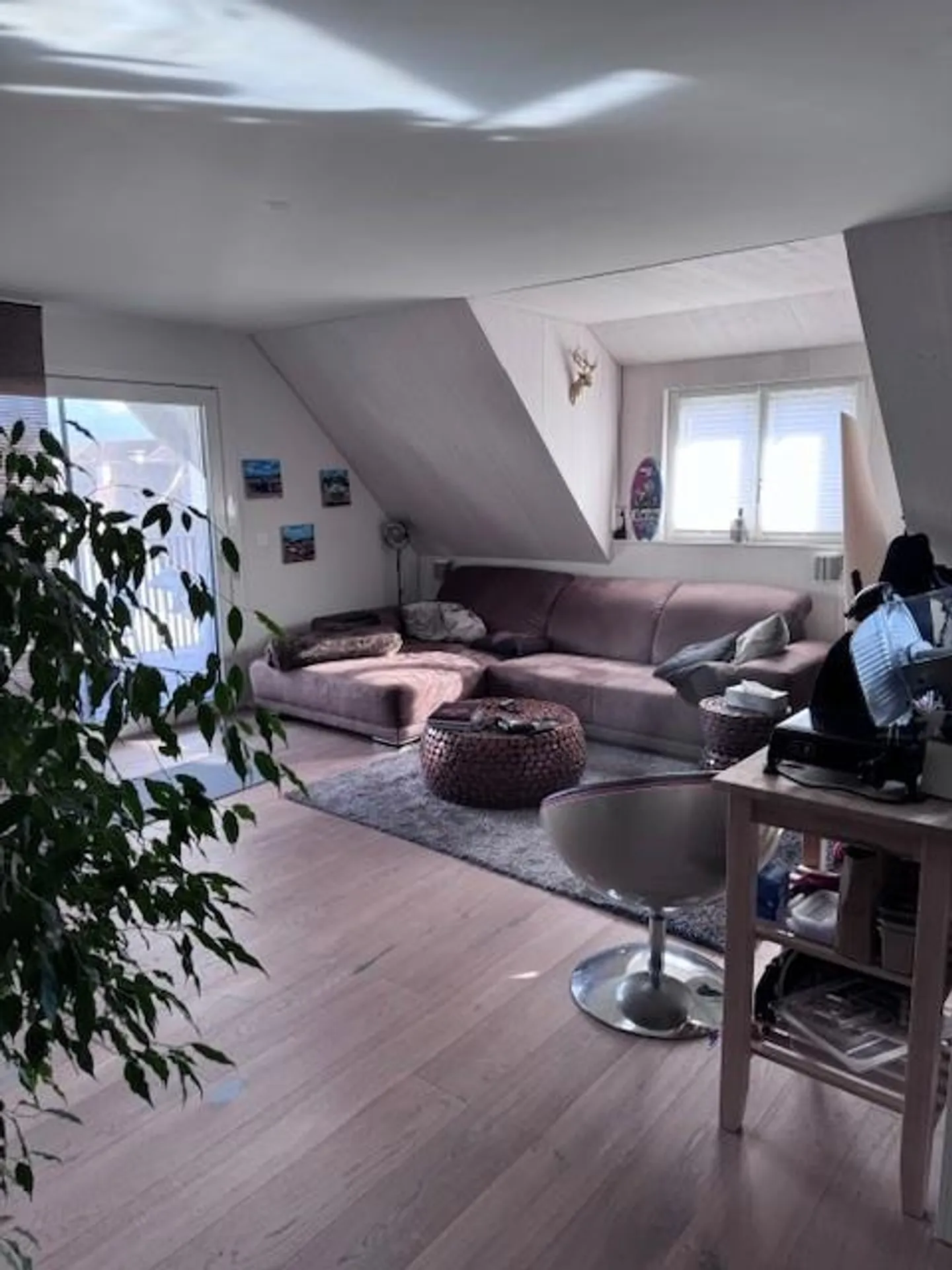 Apartment in a quiet location seeks a suitable new tenant! - Photo 3 of 10