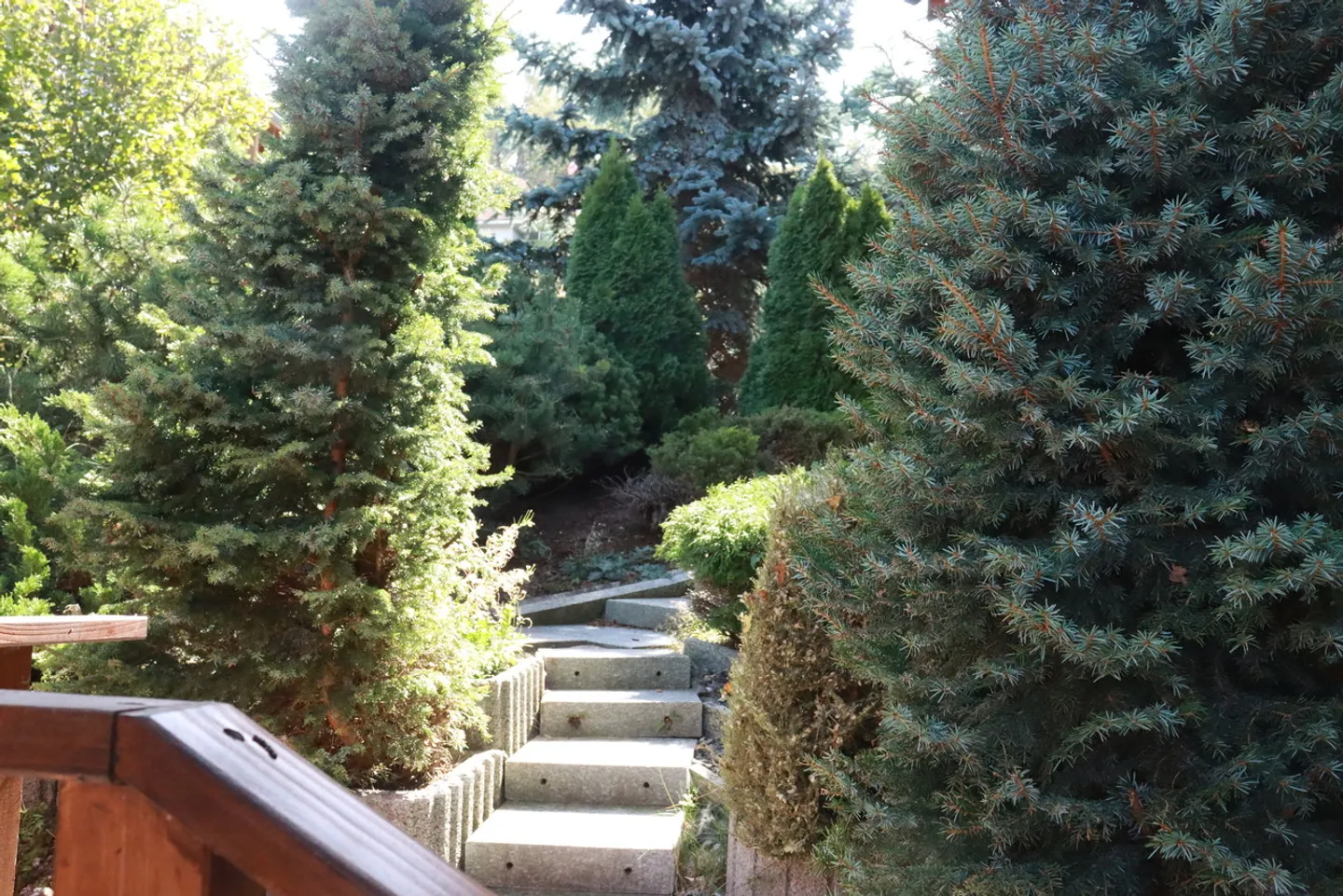 Chalet de rêve à Nax Wallis - Photo 21 sur 27