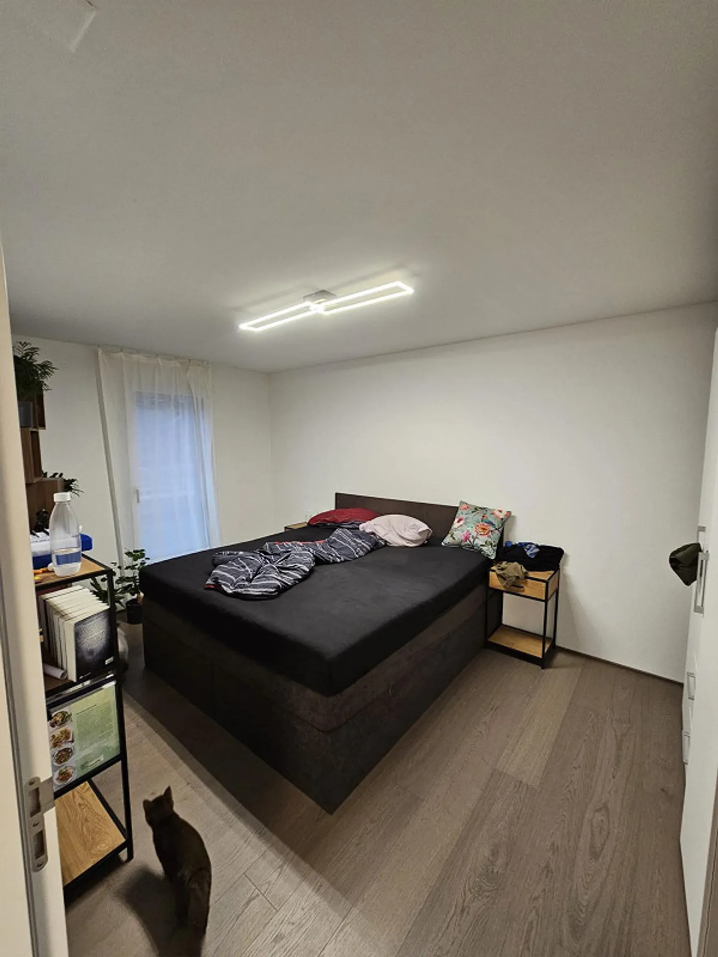 Moderne 4.5 Zimmer Wohnung - Foto 2 von 12