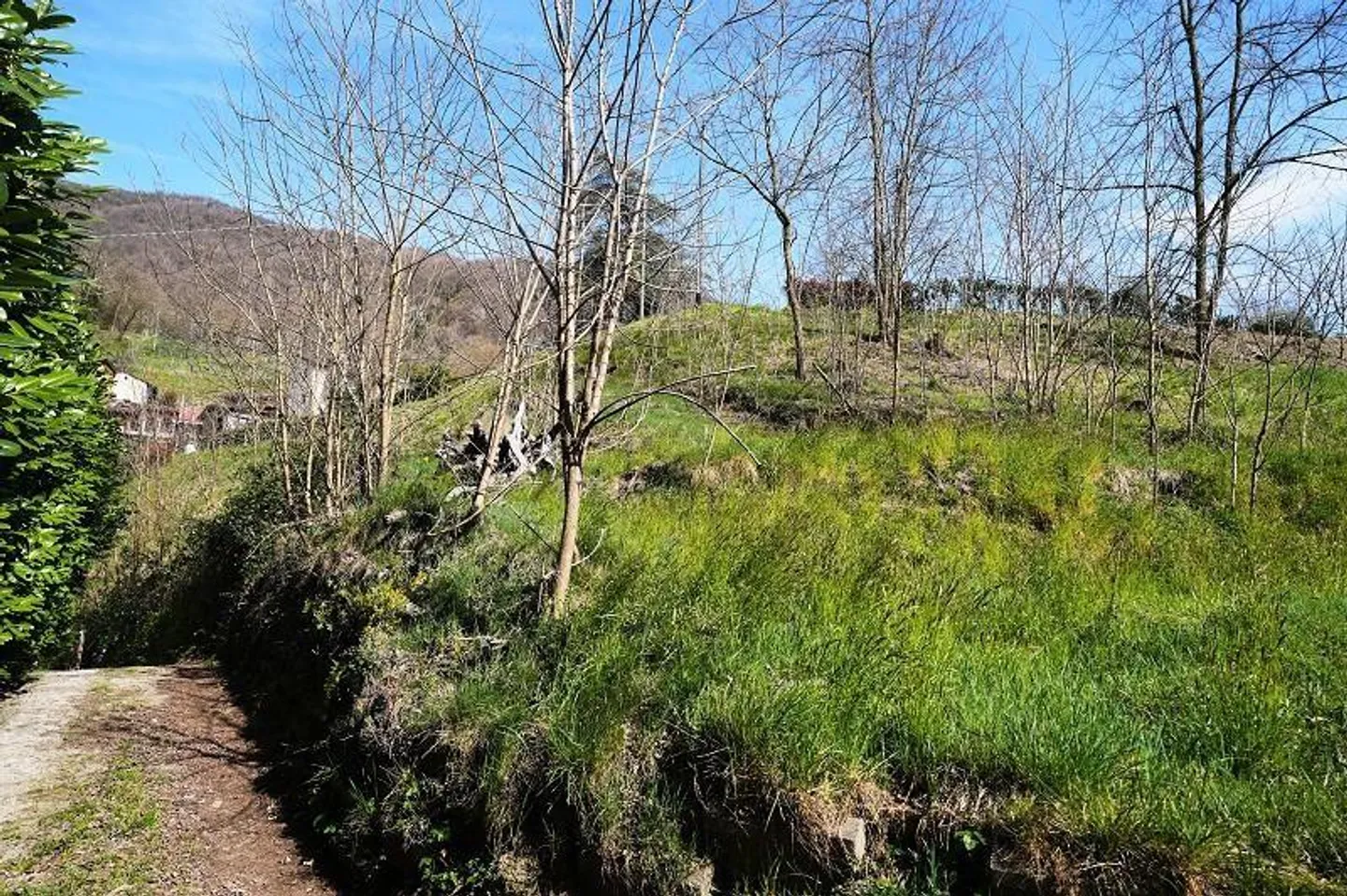 Casa 2 locali con molto terreno in una posizione molto tranquilla e soleggiata... - Foto 15 di 39