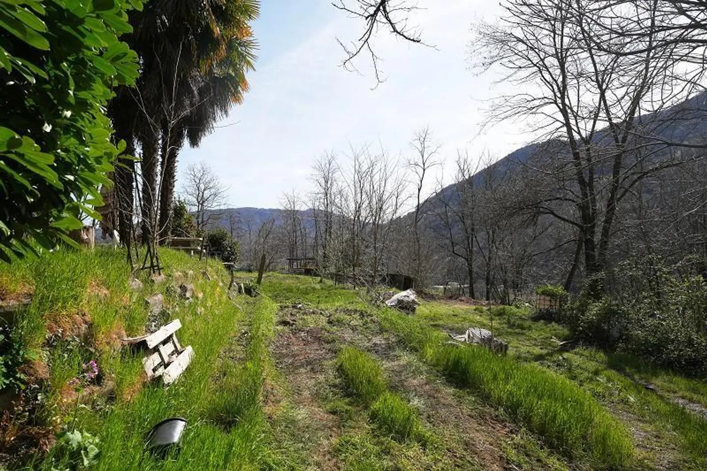 Casa 2 locali con molto terreno in una posizione molto tranquilla e soleggiata... - Foto 20 di 39