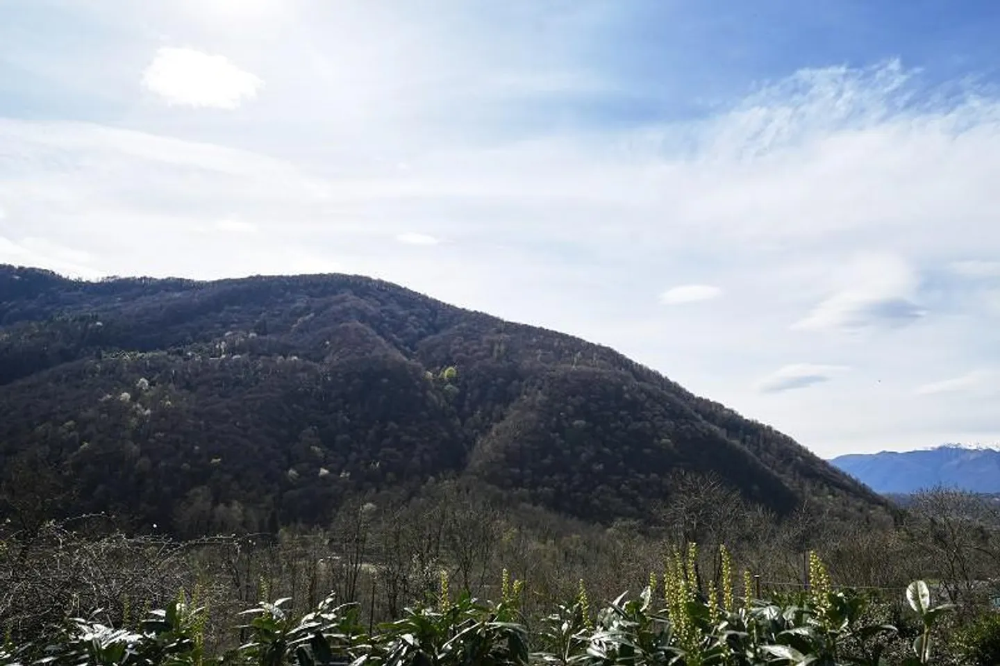 Casa 2 locali con molto terreno in una posizione molto tranquilla e soleggiata... - Foto 30 di 39