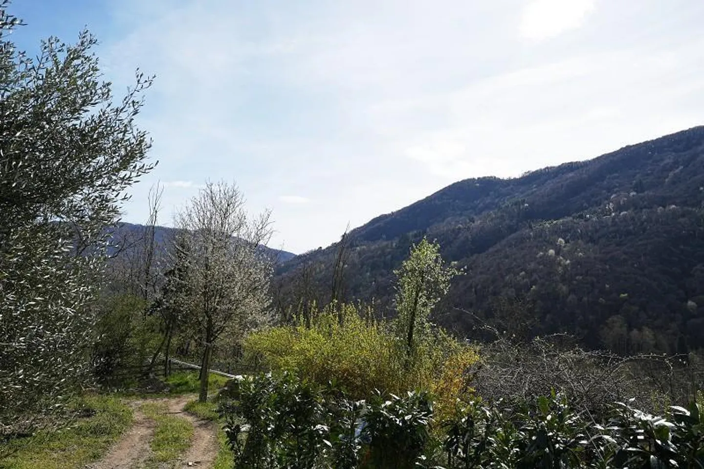 Casa 2 locali con molto terreno in una posizione molto tranquilla e soleggiata... - Foto 31 di 39