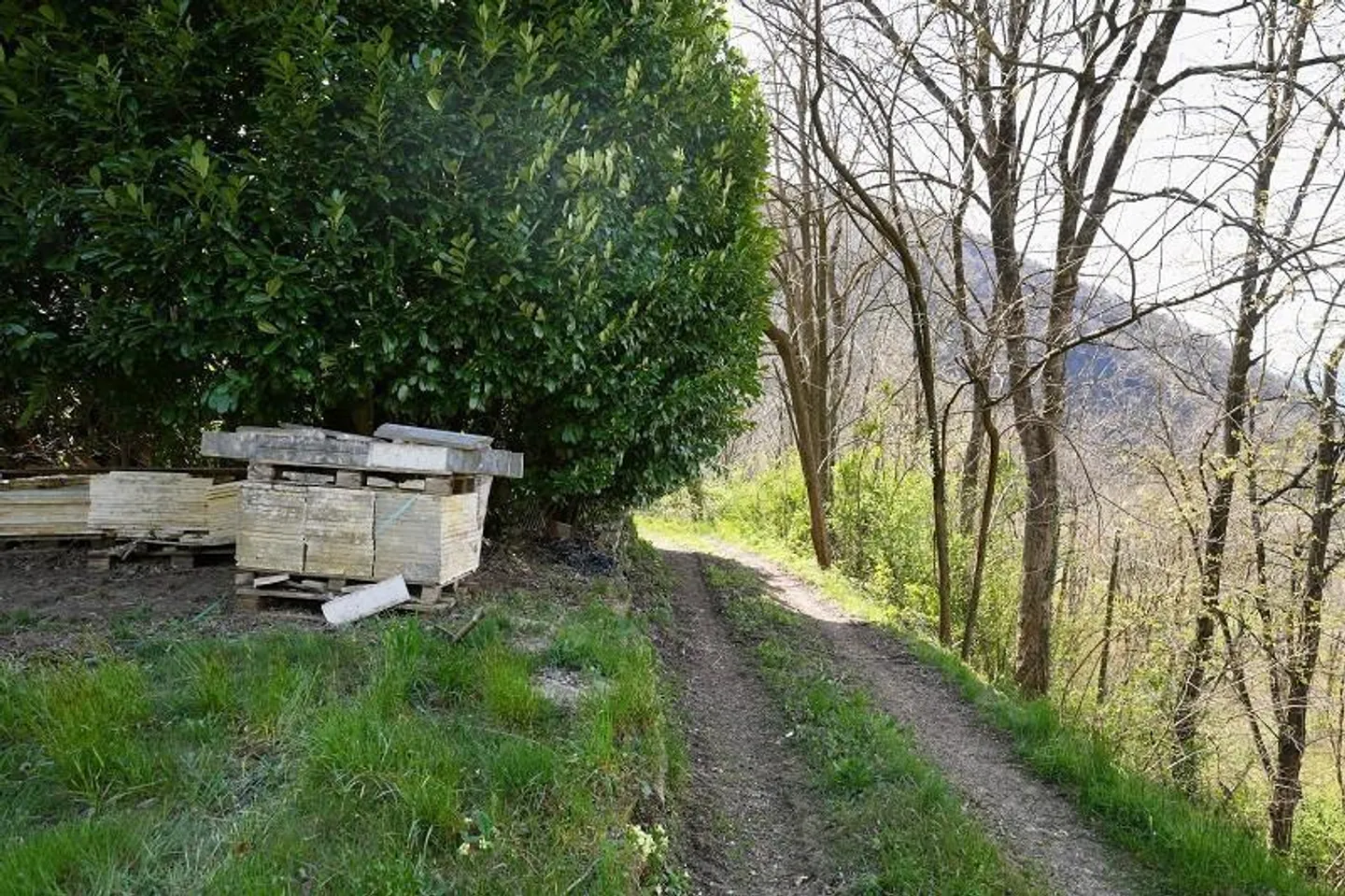 Casa 2 locali con molto terreno in una posizione molto tranquilla e soleggiata... - Foto 33 di 39