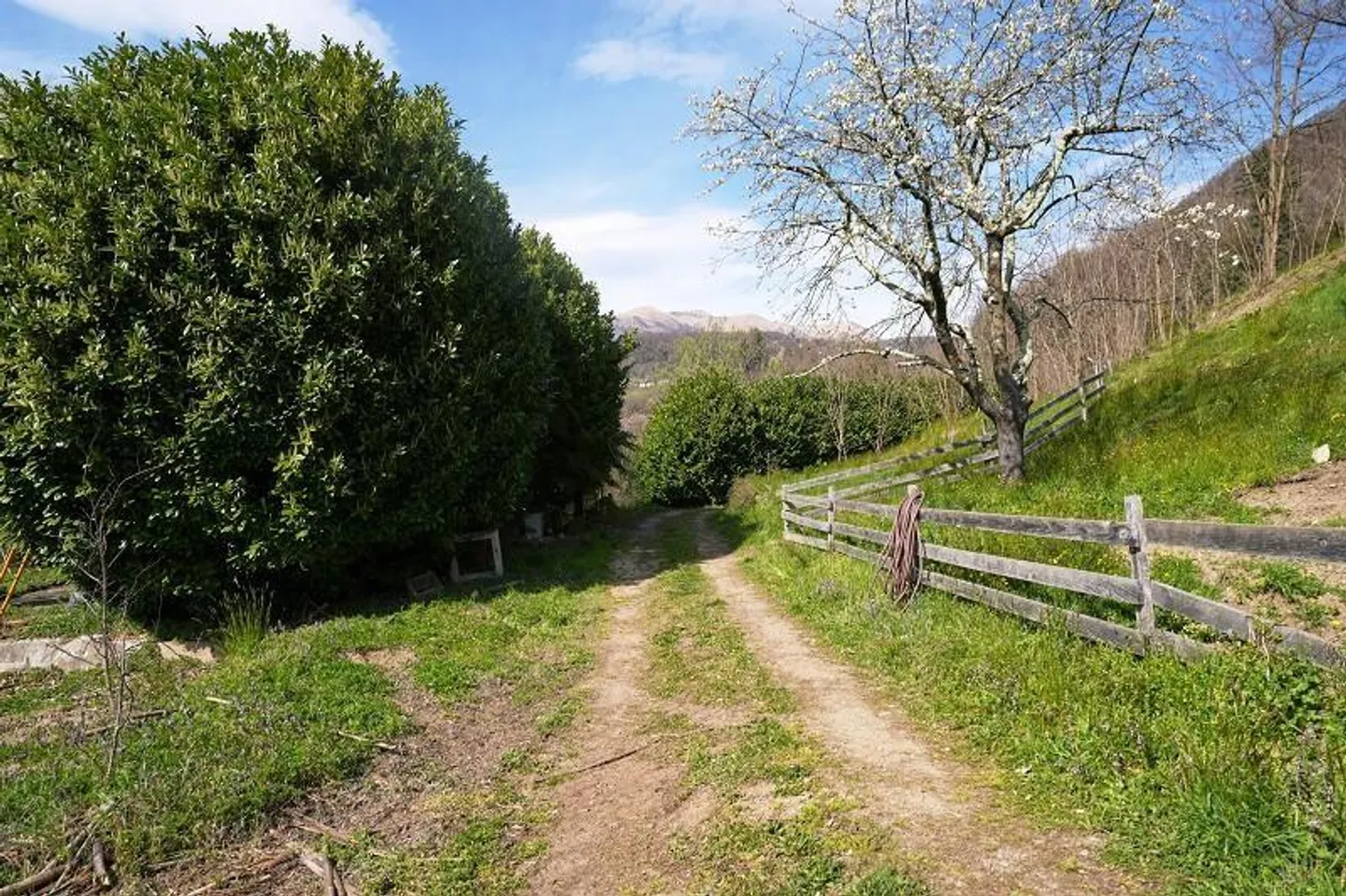 Casa 2 locali con molto terreno in una posizione molto tranquilla e soleggiata... - Foto 34 di 39